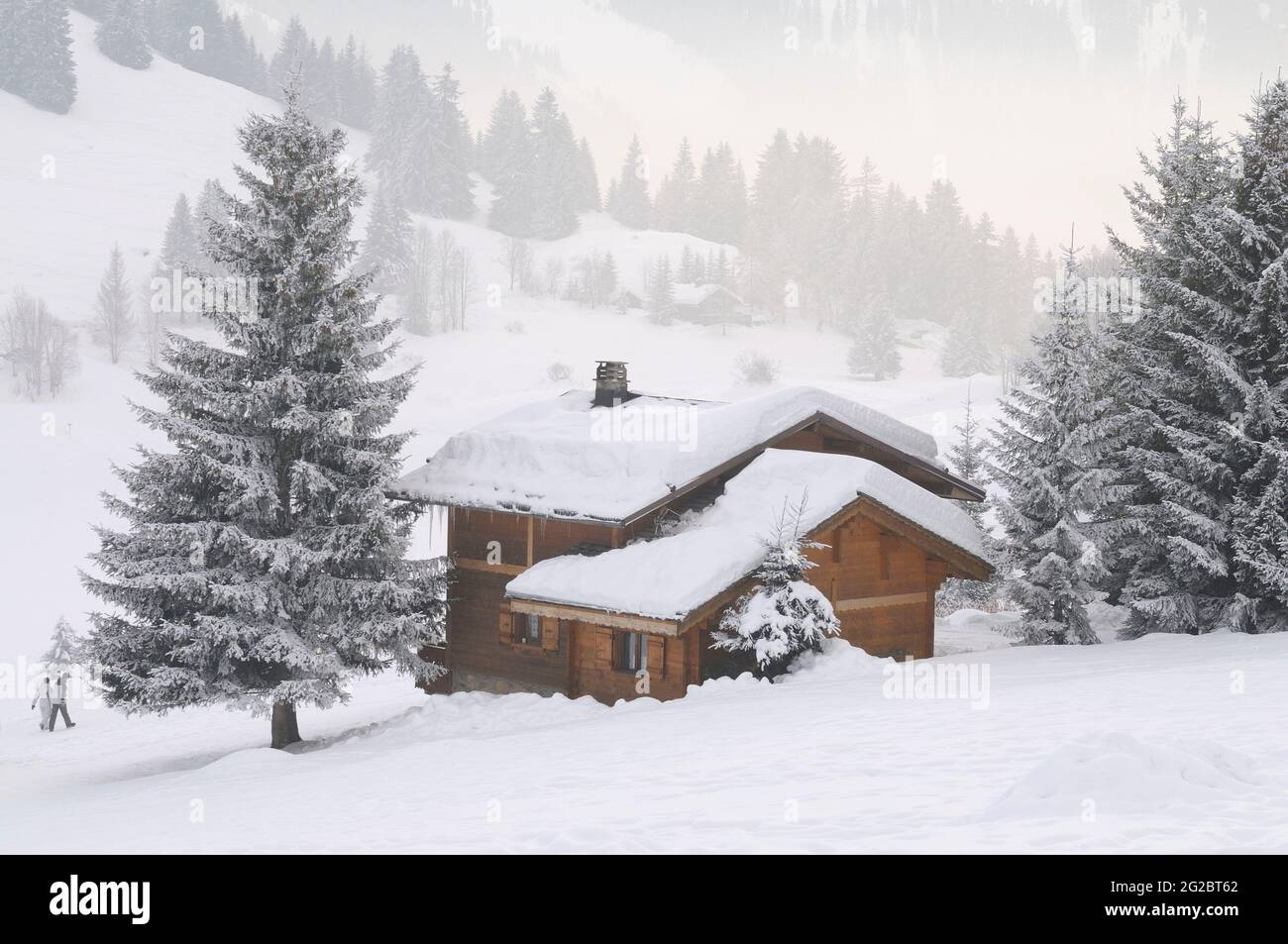 FRANCIA. ALTA SAVOIA (74) MONTE ARAVIS. STAZIONE SCIISTICA DI LA CLUSAZ. SENTIERO PEDONALE NELLA ZONA DI CONFINS Foto Stock