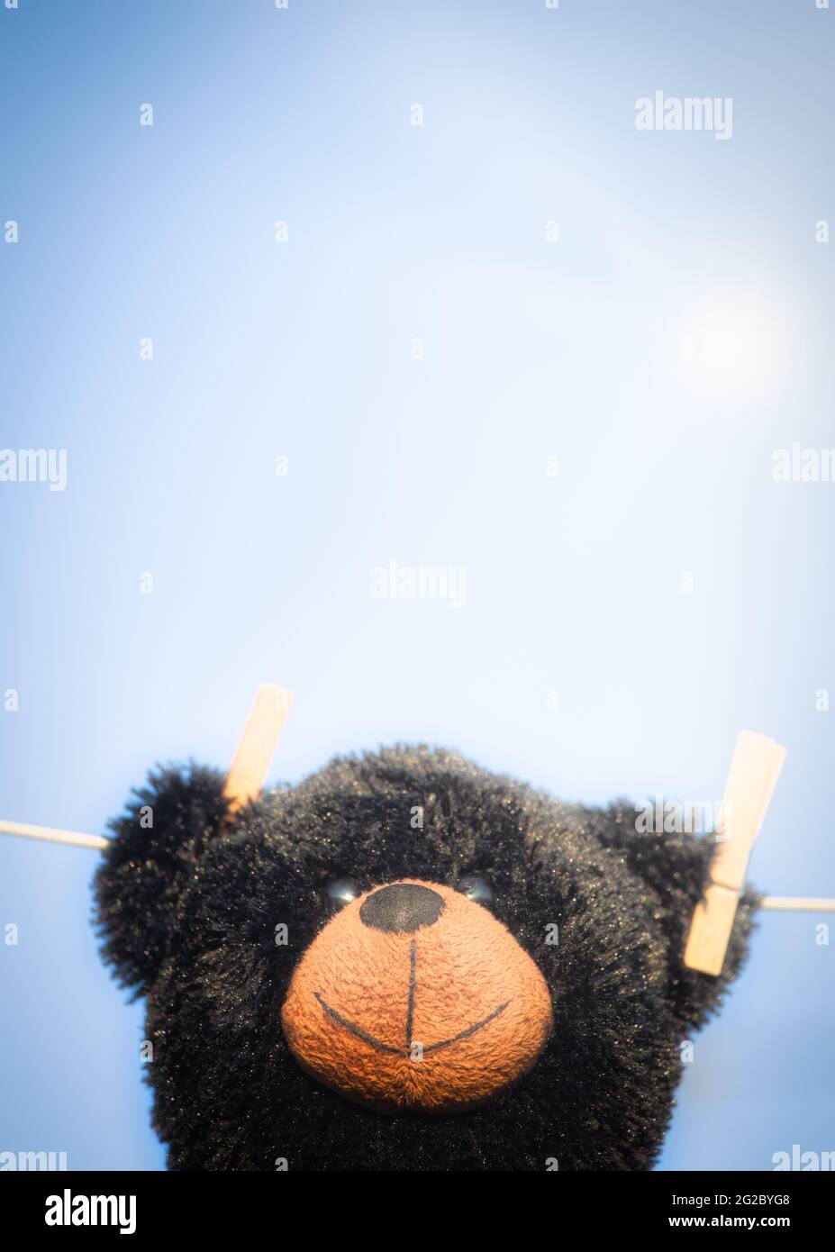 Orsacchiotto nero farcito peloso giocattolo appeso sulla linea di lavaggio alla luce del sole. Concetto di intrighi, curiosità, diversità, uguaglianza Foto Stock