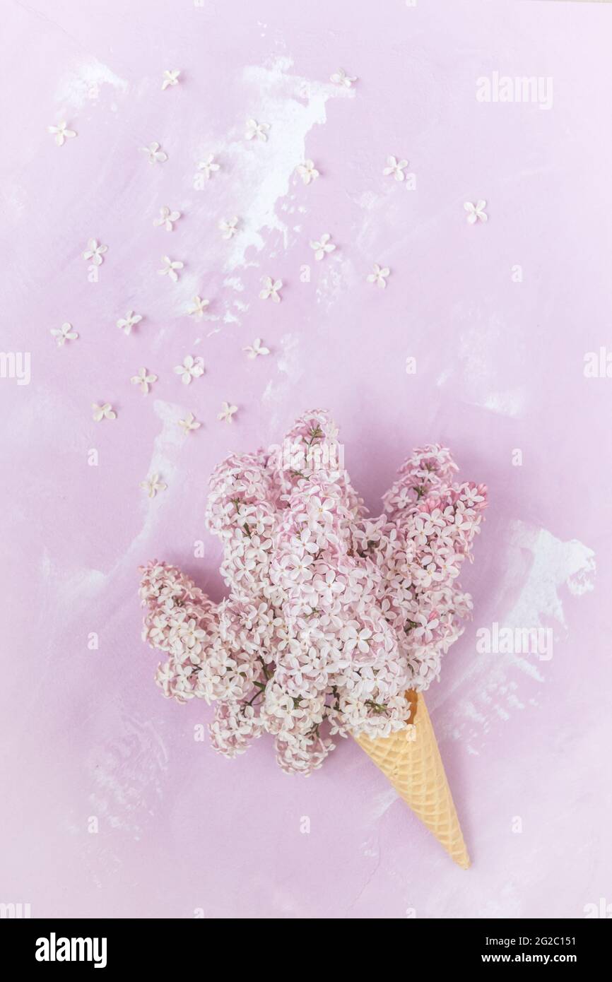 Lilla rosa pallido in un cono di cialda su sfondo rosa, verticale con spazio per la copia Foto Stock