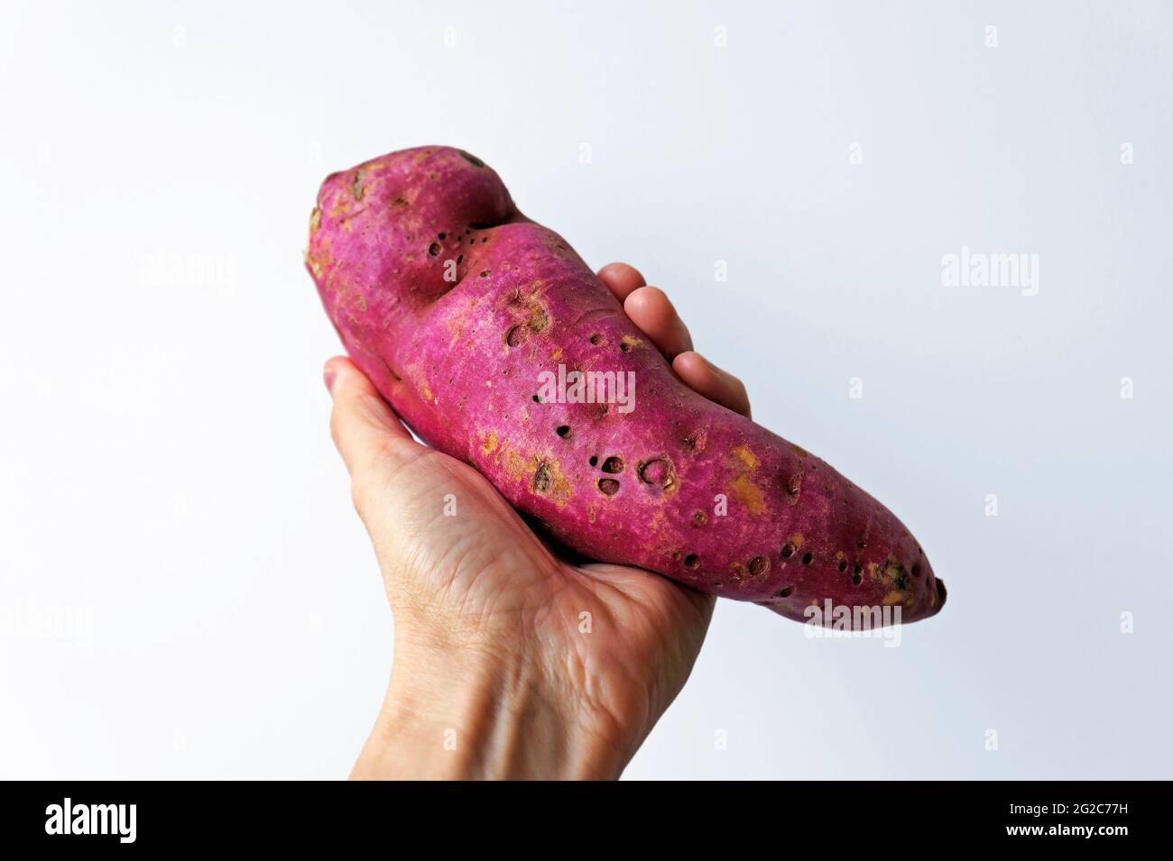 Patate dolci viola a portata di mano su sfondo luminoso Foto Stock