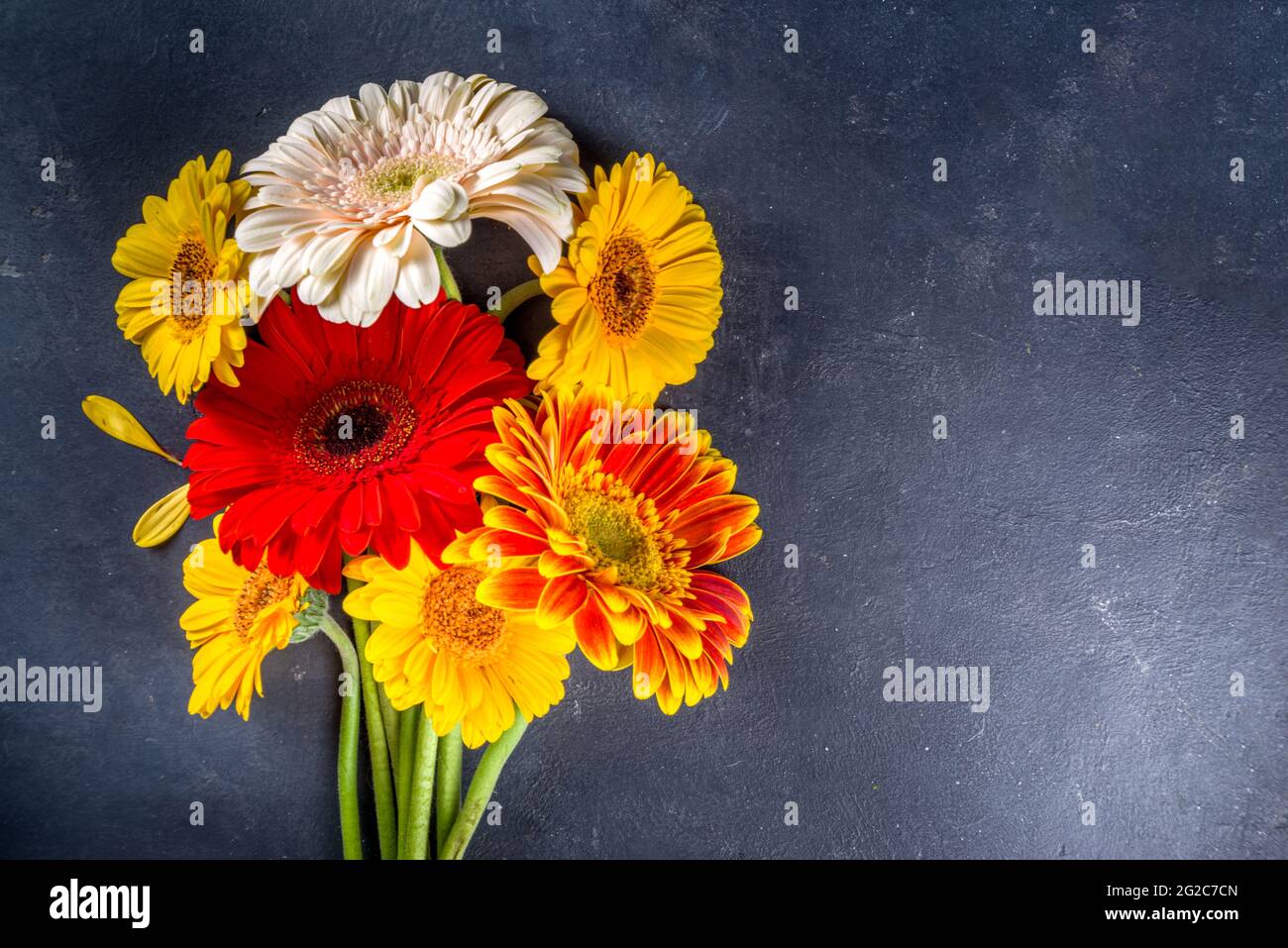 Ritorno a scuola. Biglietto d'auguri per il giorno degli insegnanti. Autunno colori rosso giallo arancio gerbera fiori bouquet con gesso su lavagna nero sfondo copia spa Foto Stock