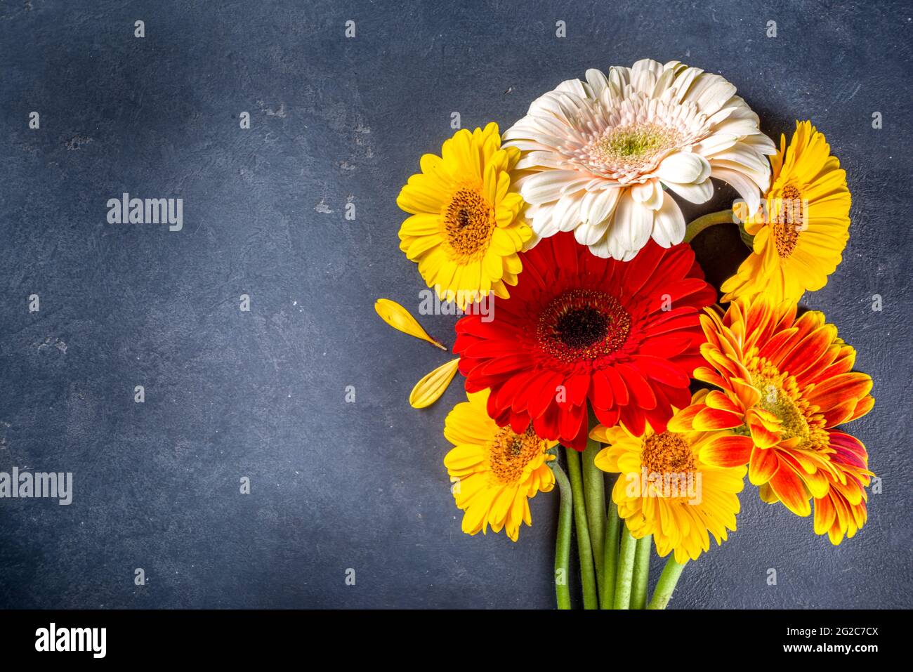 Ritorno a scuola. Biglietto d'auguri per il giorno degli insegnanti. Autunno colori rosso giallo arancio gerbera fiori bouquet con gesso su lavagna nero sfondo copia spa Foto Stock