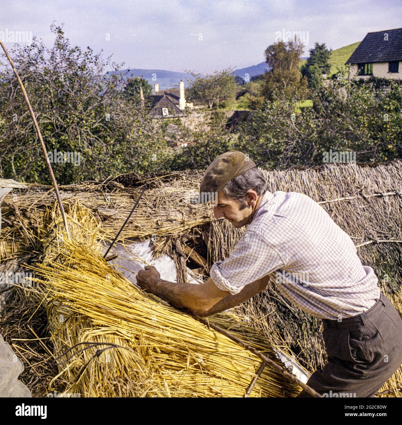Un thatcher che si stagliano con paglia di grano tradizionale su un cottage nel villaggio Exmoor di Luccombe, Somerset UK nell'ottobre 1970 Foto Stock