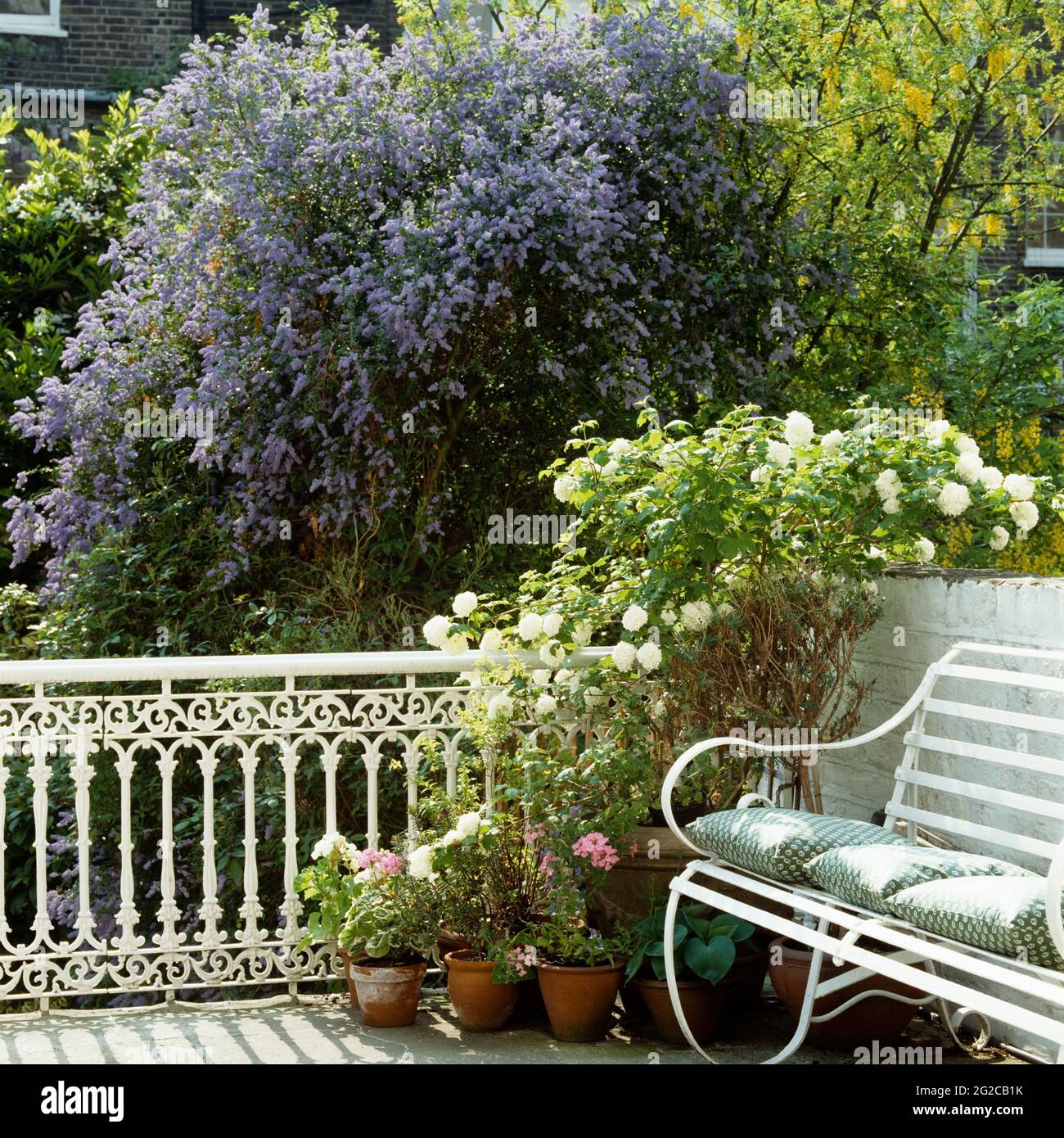 Vasi di fiori sul balcone da panca Foto Stock