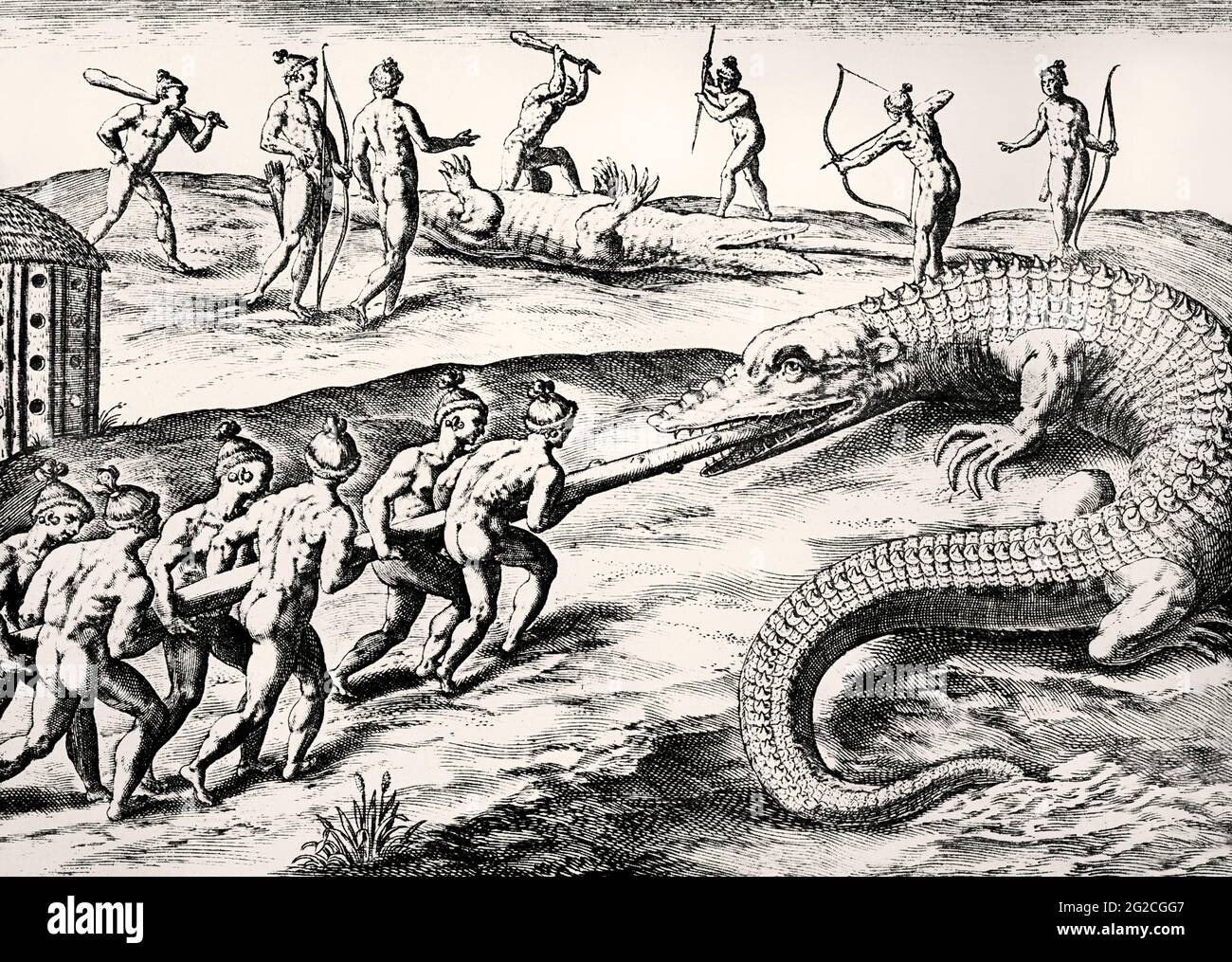 Caccia agli alligatori della Florida, 16 ° secolo Foto Stock
