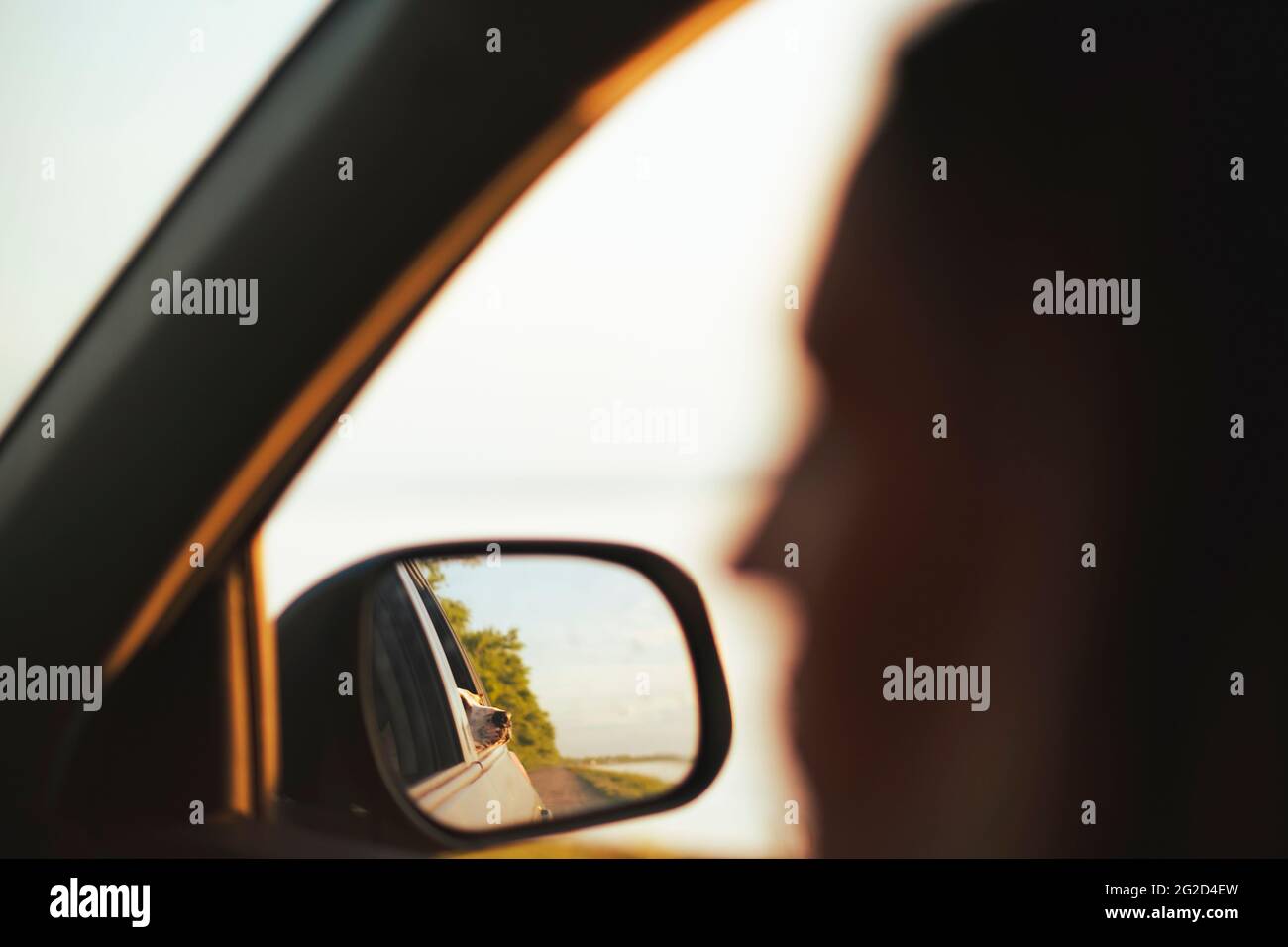 Cane guardando fuori dalla finestra dell'auto riflesso nello specchio, viaggiare con animali domestici scena Foto Stock