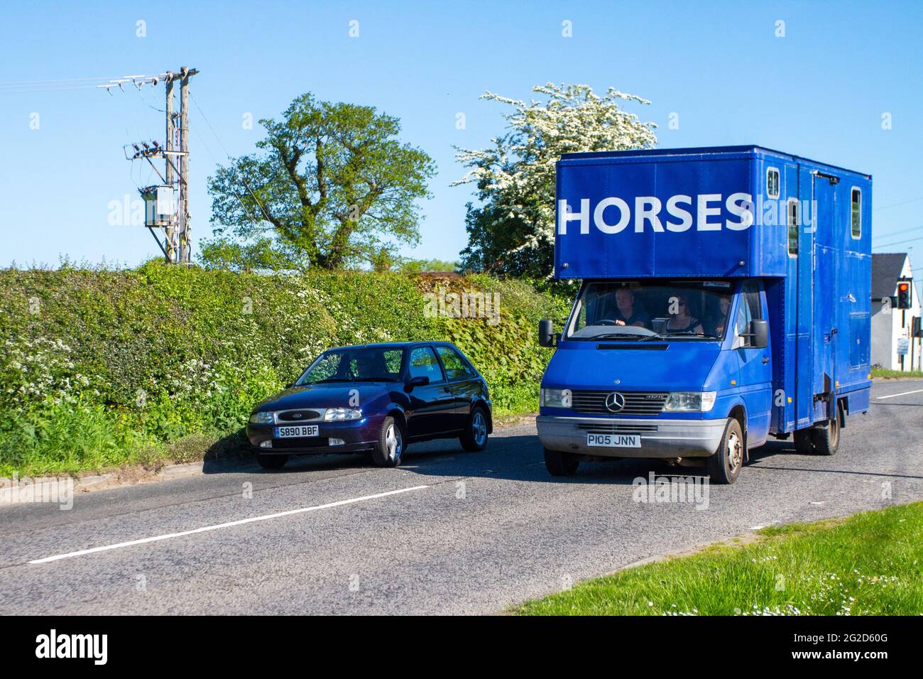 Box di cavallo per il sorpasso dell'automobile; furgone di crine; trasporto di animali equini costruito dall'autobus che viaggia su strada di campagna in rotta verso Capesthorne Hall classic May car show, Cheshire, Regno Unito Foto Stock