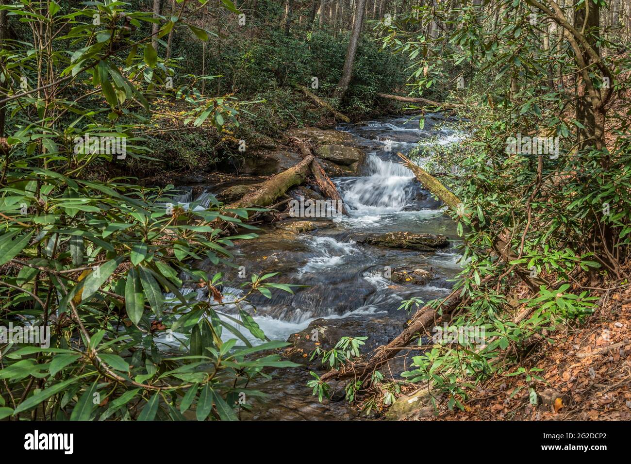 Acqua in rapido movimento che scorre attraverso i boschi che attraversano massi e tronchi di alberi caduti nelle montagne della Georgia settentrionale in una giornata di sole in autum Foto Stock