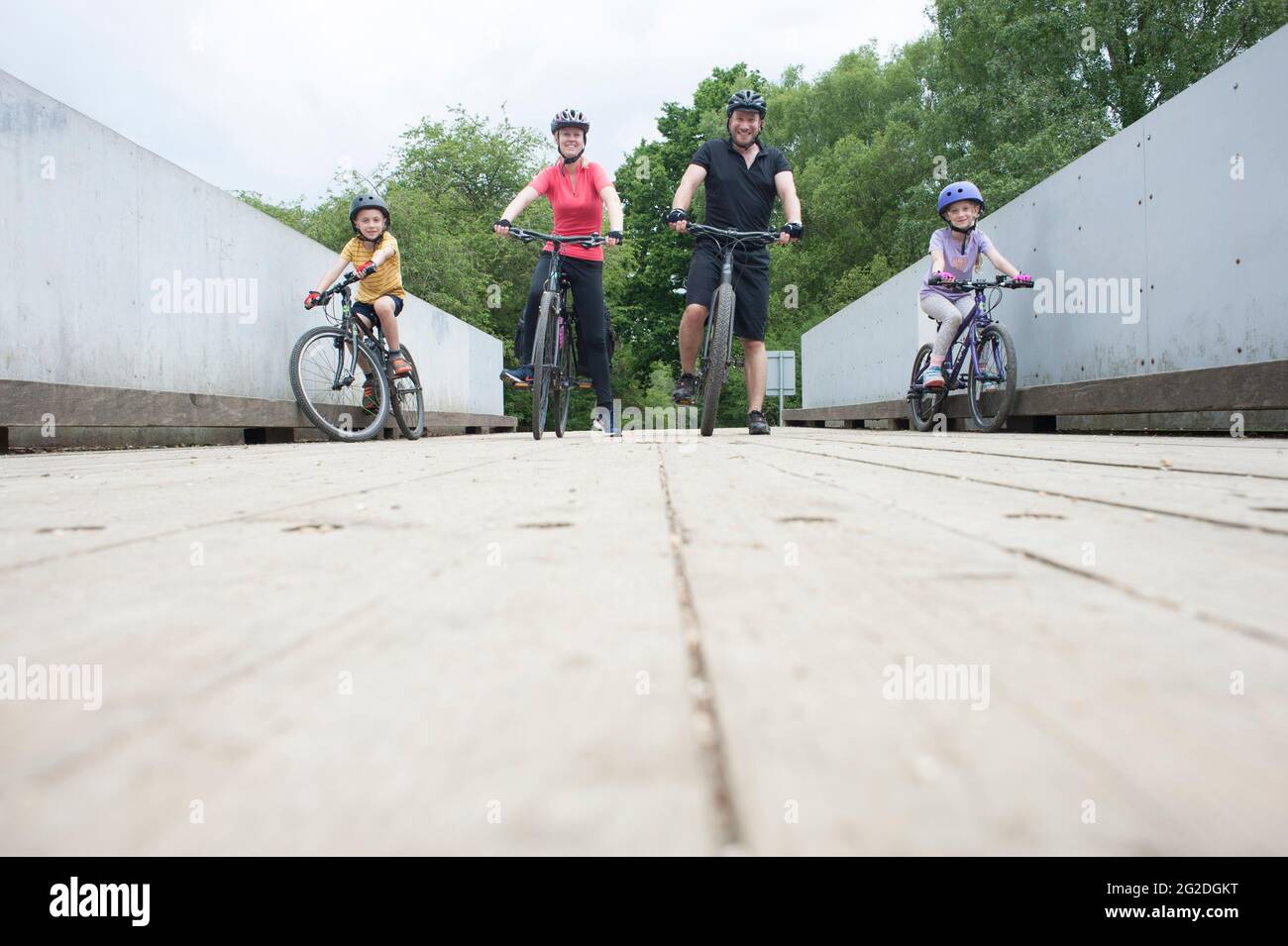 Pedalando attraverso la New Forest sulle piste ciclabili passando accanto a pile di legno tritato. Foto Stock