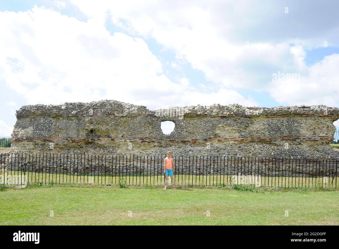 Capretto che guarda le rovine romane a St Albans, Inghilterra Foto Stock