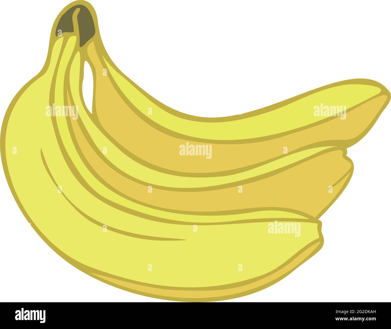 Illustrazione vettoriale con un mazzo di banane isolate su sfondo bianco. Vettore stile contorno riempito. Illustrazione Vettoriale