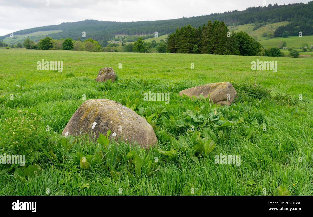 Uno dei tre cerchi di pietra in un campo a Fortingall a Glen Lyon, Perthshire, Scozia, Regno Unito Foto Stock