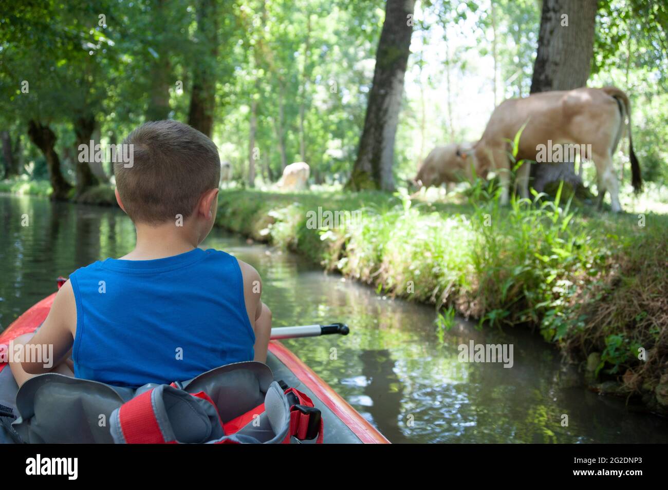 Una famiglia kayak nel Parco Naturale Regionale del Marais Poitevin su kayak gonfiabili in una vacanza estiva in Francia Foto Stock