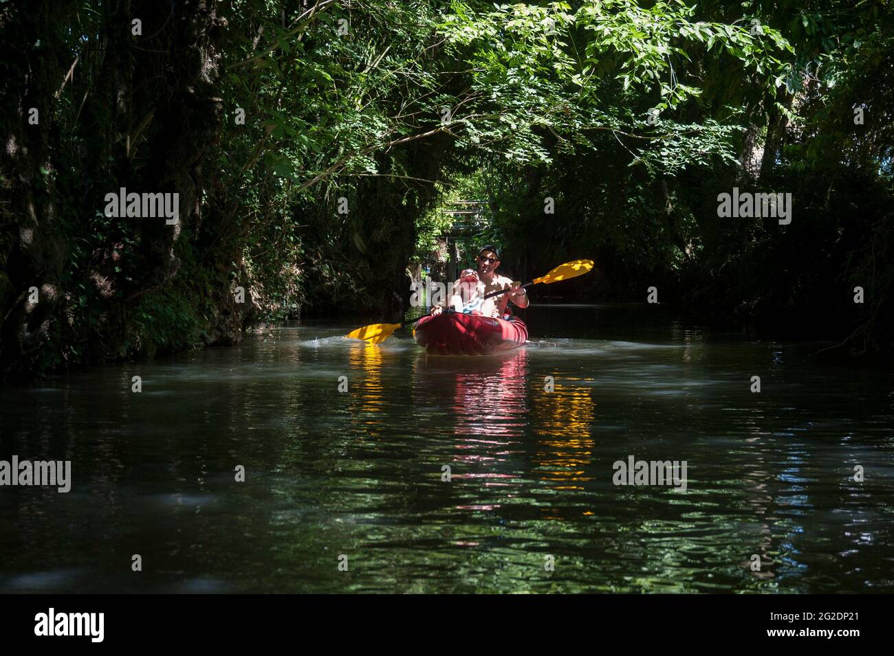Una famiglia kayak nel Parco Naturale Regionale del Marais Poitevin su kayak gonfiabili in una vacanza estiva in Francia Foto Stock