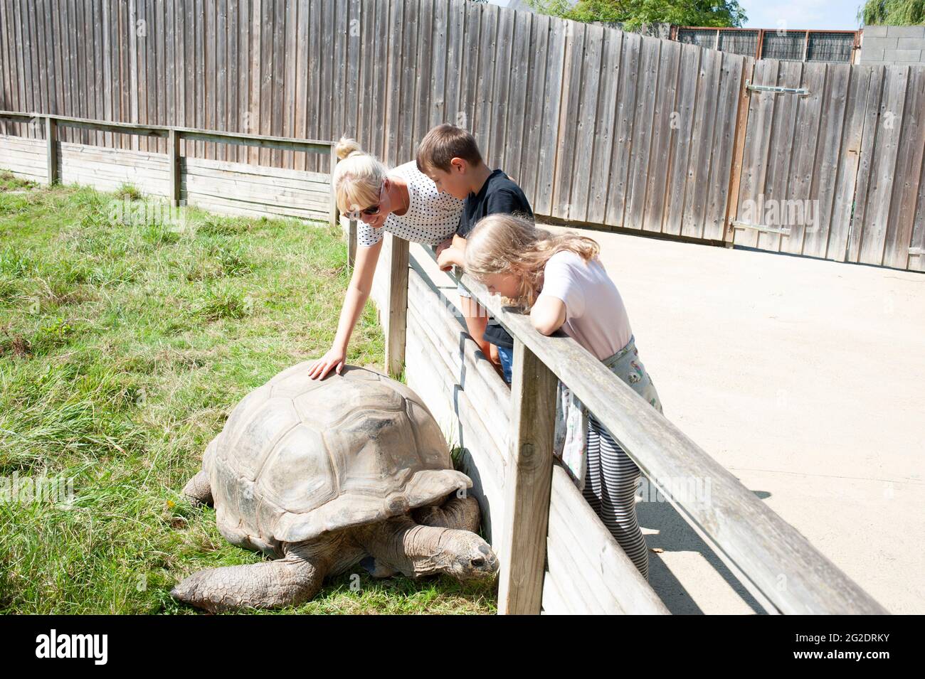 Un'esperienza in famiglia uno zoo speciale per rettili chiamato Alligator Bay nel nord della Francia. Foto Stock