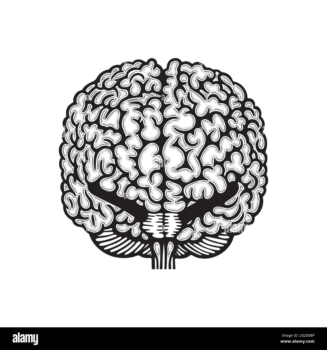 Emisferi cerebrali. Vista posteriore del cervello umano illustrazione vettoriale disegnata a mano. Disegno del contorno del cervello. Parte del set. Illustrazione Vettoriale
