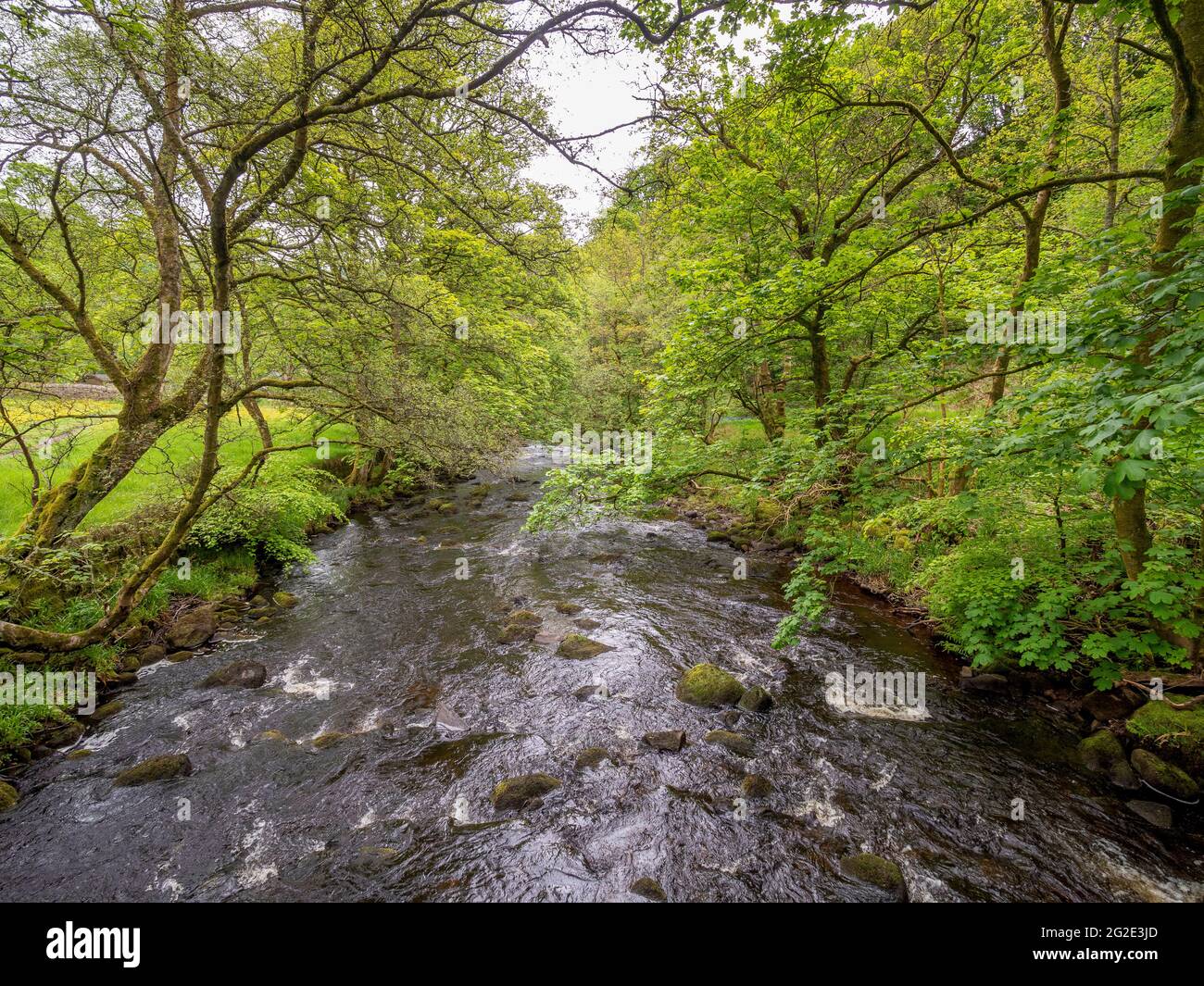 Hardcastle Crags, valle boscosa di Pennine nello Yorkshire occidentale, Inghilterra Foto Stock