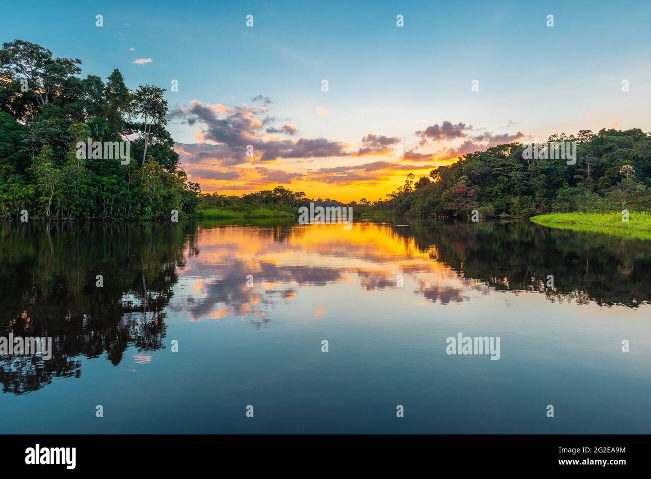 Tramonto nella foresta amazzonica con spazio per le copie. Bacino fluviale amazzonico situato in Brasile, Bolivia, Colombia, Ecuador, Guyana francese, Perù, Suriname, Venezuela. Foto Stock