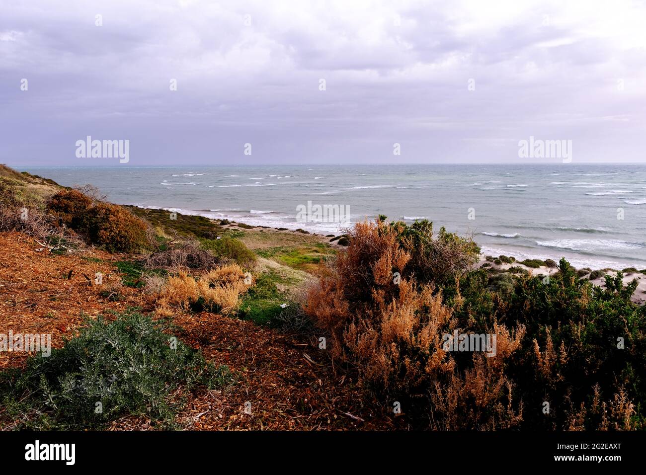 Le scogliere che si affacciano sulla spiaggia di Aldinga in Australia del Sud. Australia Foto Stock