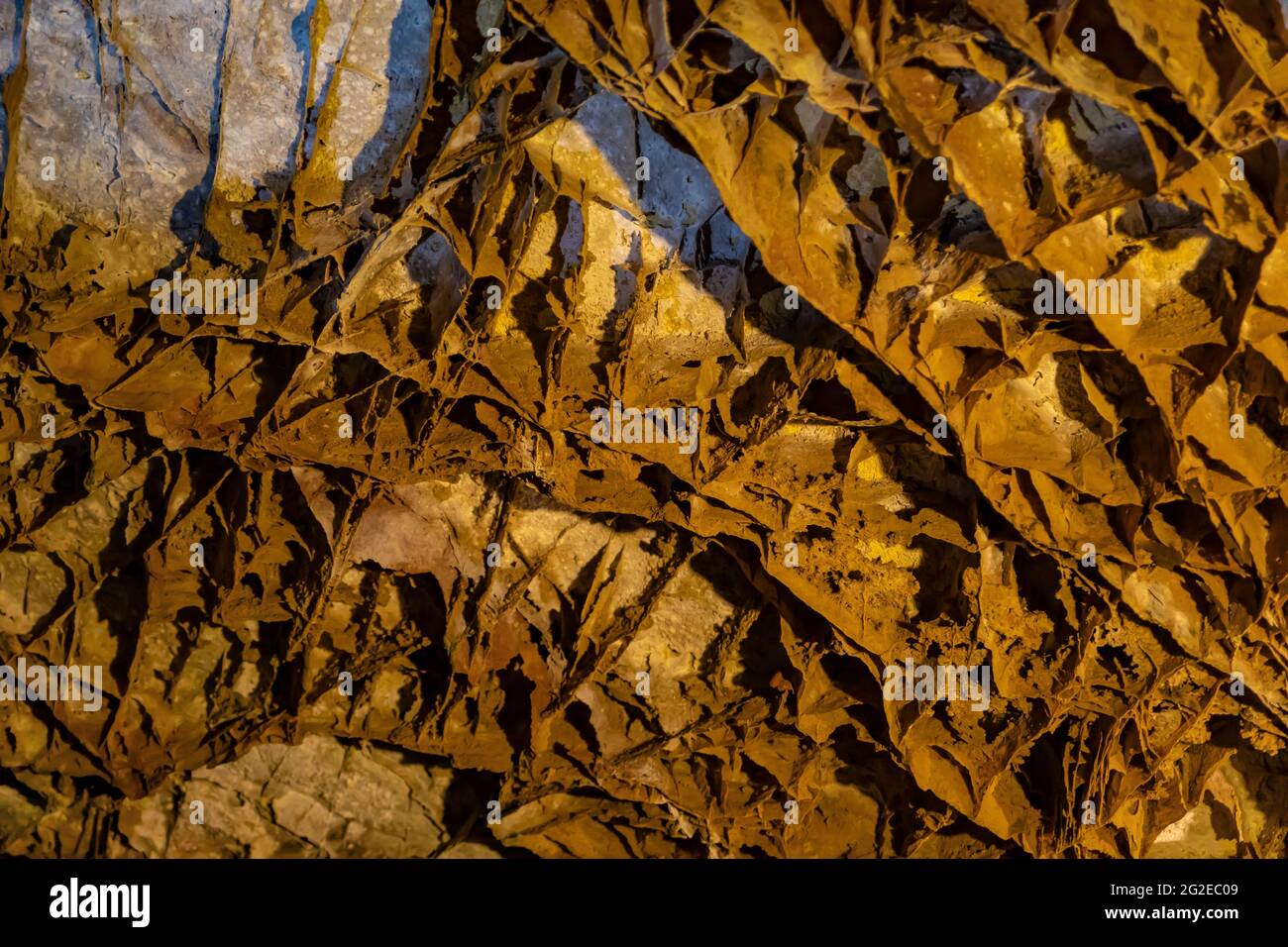 Intricati lavori di boxwork in Wind Cave, una formazione di grotta che si trova qui più che altrove, Wind Cave National Park, South Dakota, USA Foto Stock