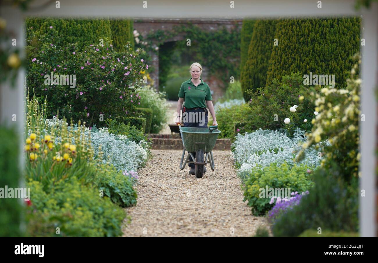 Senior Gardener Victoria Estcourt cammina attraverso il giardino di rose presso la proprietà National Trust Mottisfont in Hampshire, dove la lunga primavera fredda ha portato a un enorme aumento di colore floreale. Data immagine: Giovedì 10 giugno 2021. Foto Stock