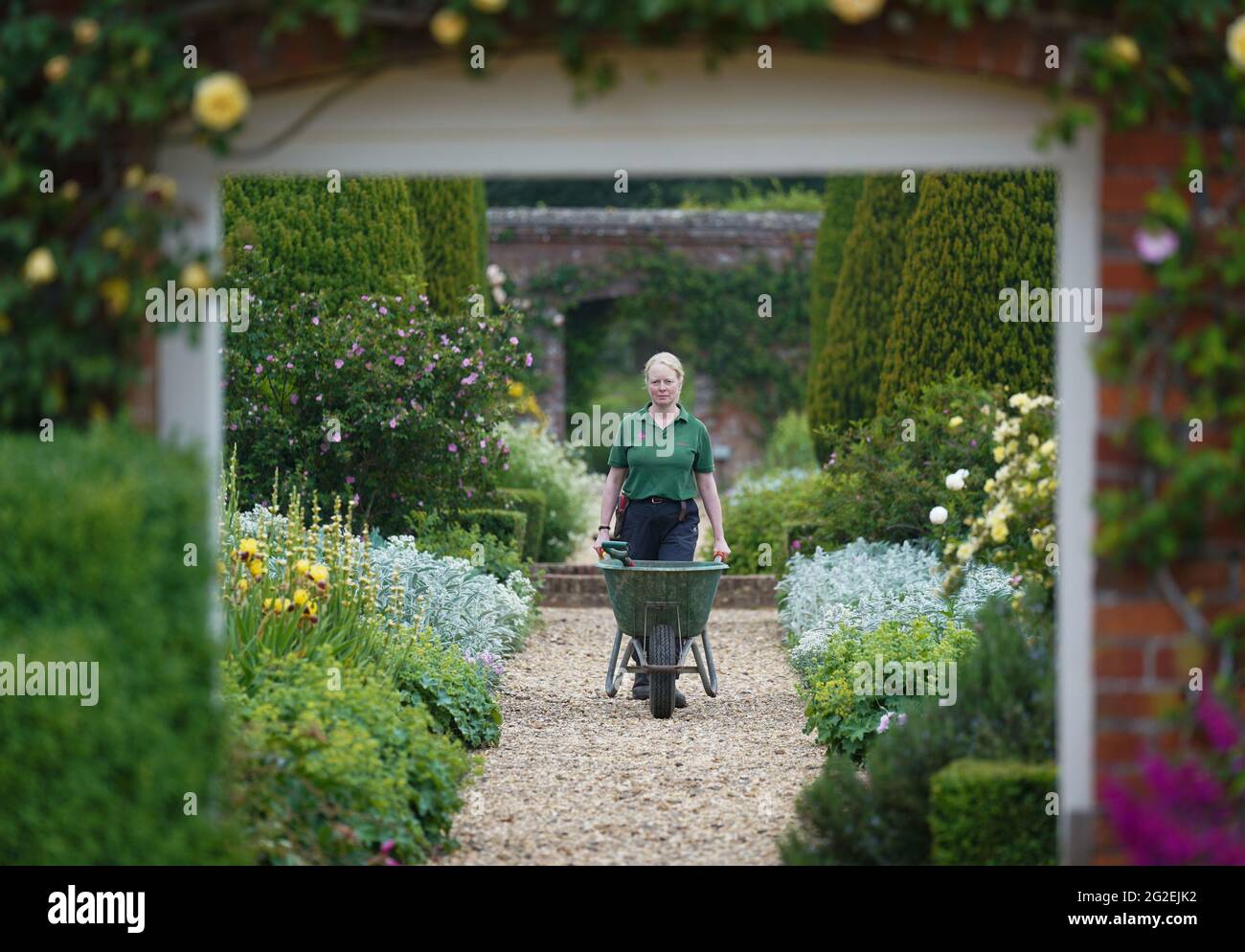 Senior Gardener Victoria Estcourt cammina attraverso il giardino di rose presso la proprietà National Trust Mottisfont in Hampshire, dove la lunga primavera fredda ha portato a un enorme aumento di colore floreale. Data immagine: Giovedì 10 giugno 2021. Foto Stock