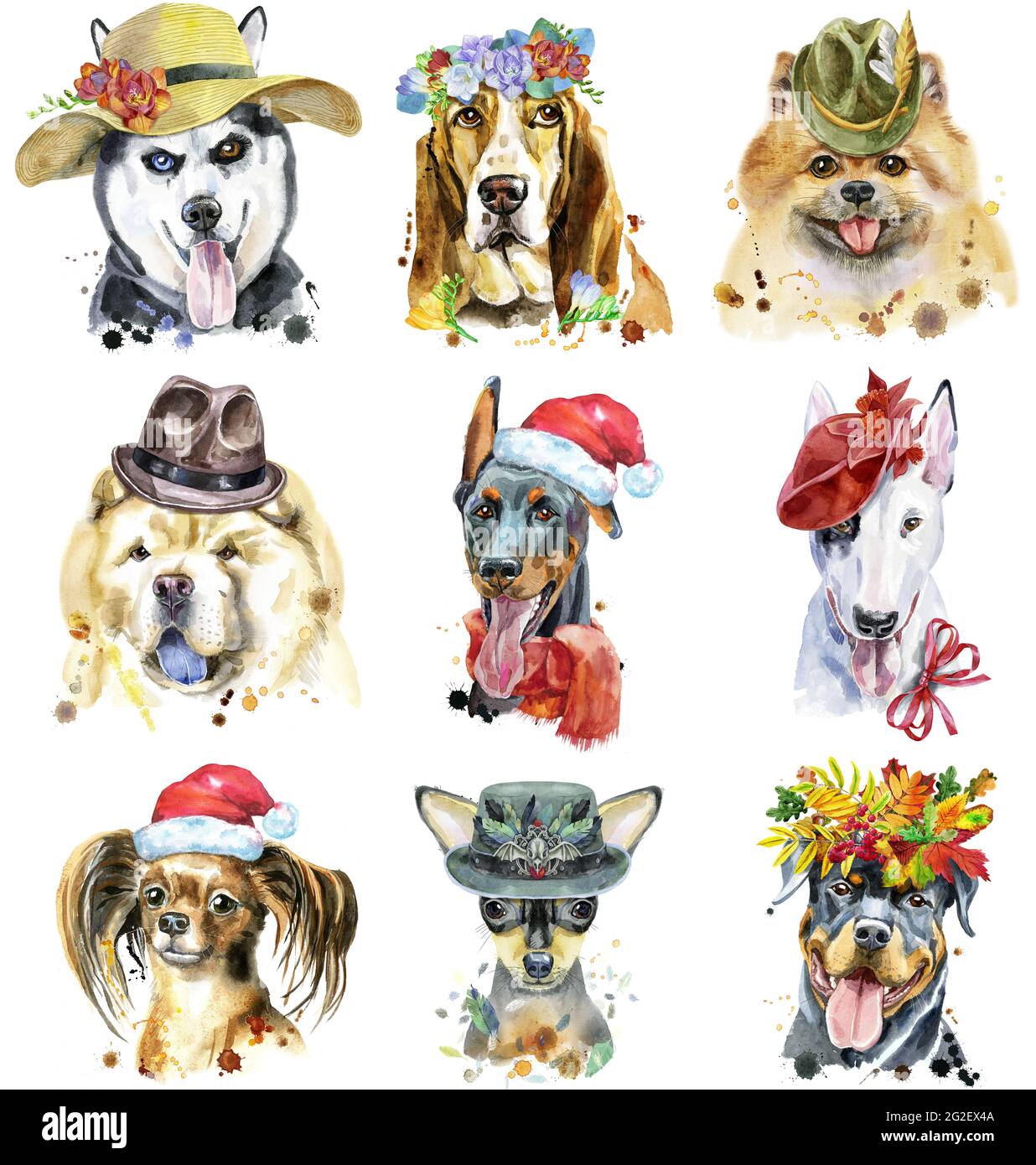Carino set di ritratti acquerello di cani. Per la grafica della t-shirt. Illustrazione dei cani acquerelli Foto Stock