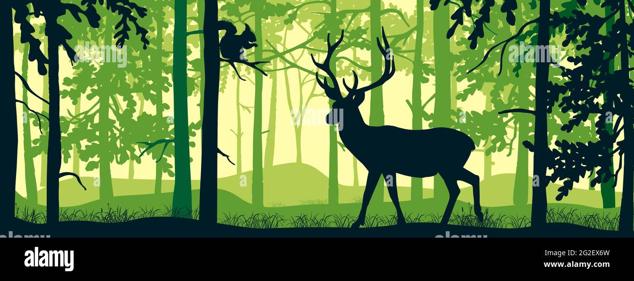 Banner orizzontale del paesaggio forestale. Cervi con antlers nella magica foresta di misty. Scoiattolo sul ramo. Sagome di alberi e animali. Sfondo verde Illustrazione Vettoriale