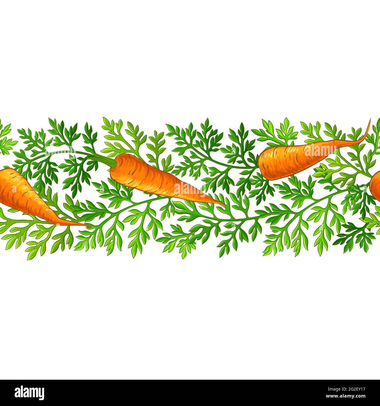 modello di carota su sfondo bianco Illustrazione Vettoriale