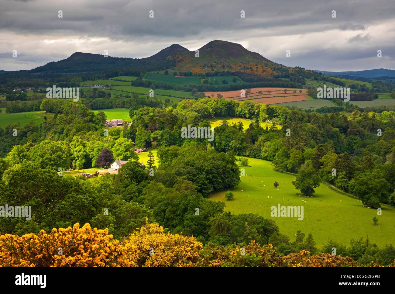 Melrose, frontiere scozzesi, Scozia, tempo britannico. 11 Giugno 2021. Scott's View con occasionali incantesimi soleggiati e colline di Eildon in covata dopo una doccia a pioggia, temperatura 16 gradi centigradi. Credit: Arch White/Alamy Live News. Foto Stock
