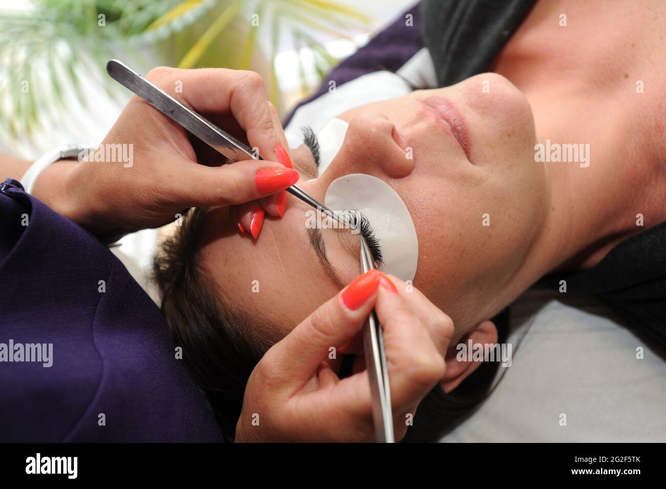 Beautician applicando le estensioni del palpebre uk. Trattamento viso bellezza coccolata donna donna femmina Foto Stock