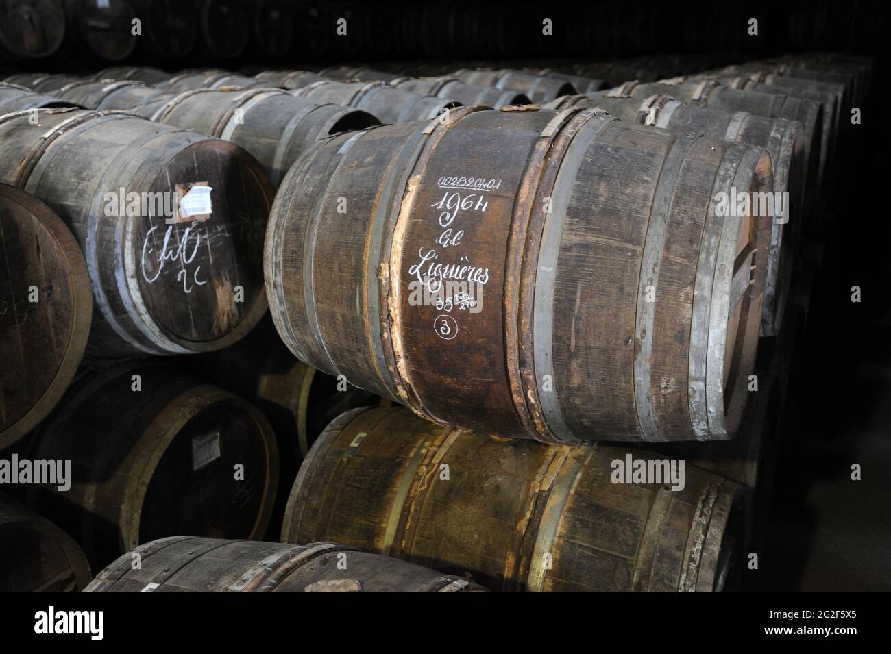 Barili di riserva Gognac Brandy maturare in Cognac Francia Foto Stock