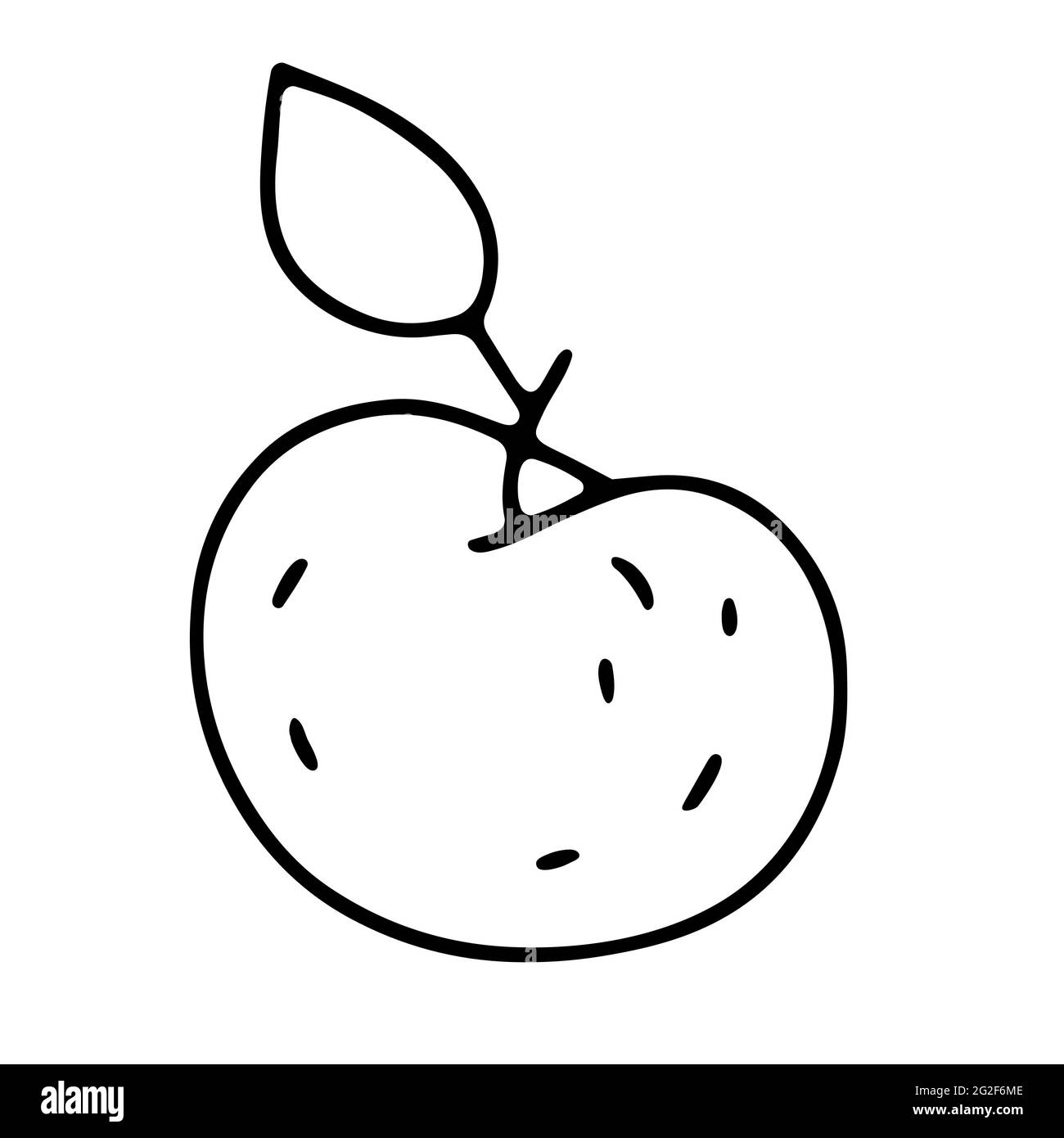 Doodle Apple. Frutto naturale fresco estratto a mano isolato su sfondo bianco. Simbolo di una sana alimentazione vegetariana, dieta, vitamina, delizioso spuntino, Illustrazione Vettoriale