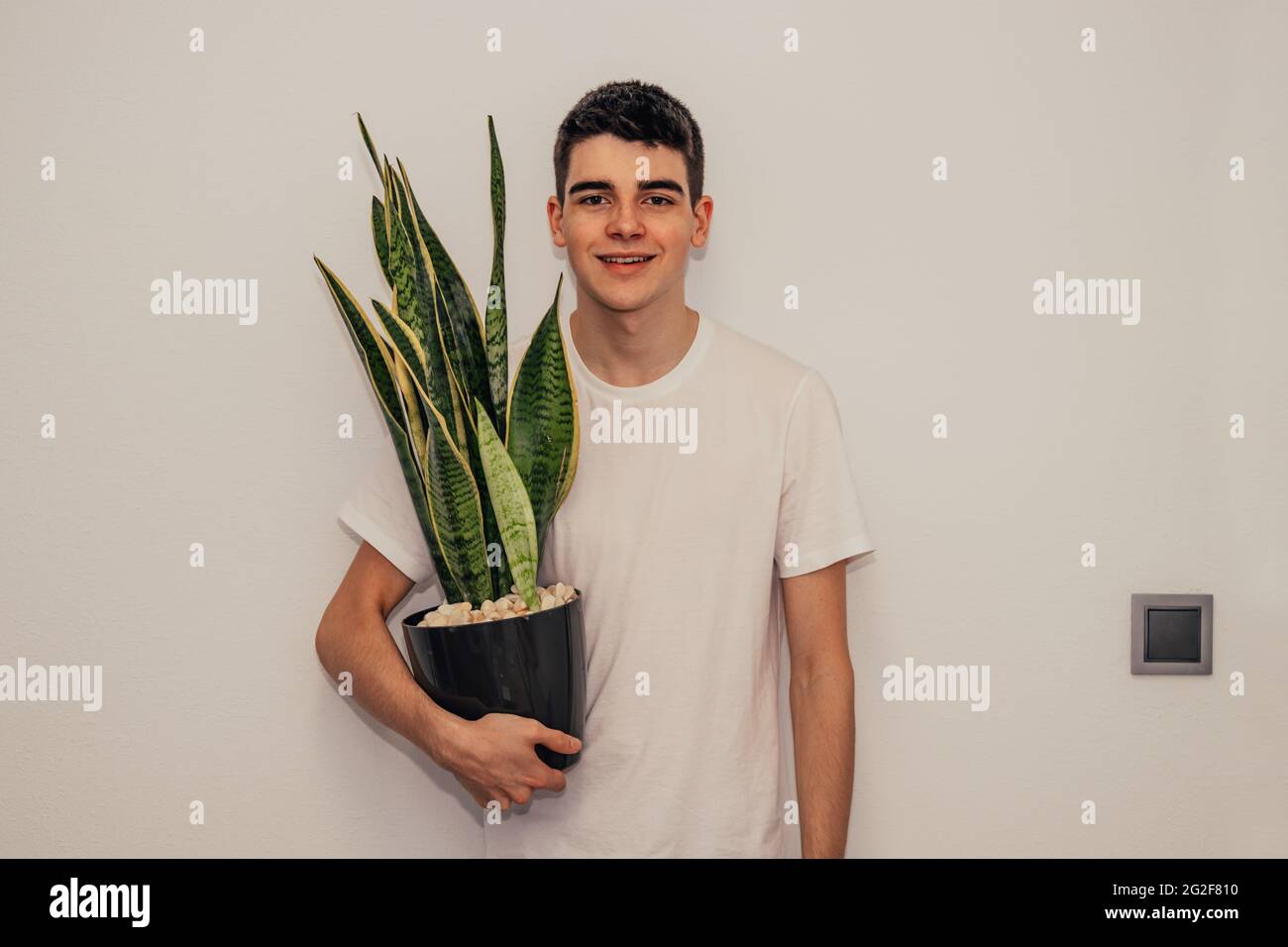 giovane adolescente maschio con pianta al chiuso Foto Stock