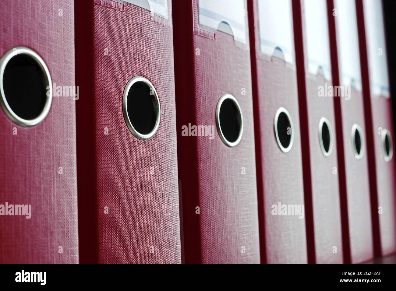 primo piano di raccoglitori di lime rossi in una fila su uno scaffale Foto Stock