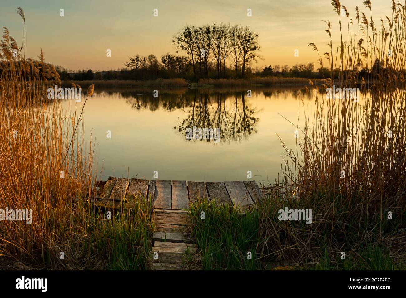Molo in legno nel lago e riflesso di alberi in acqua, Stankow, Lubelskie, Polonia Foto Stock