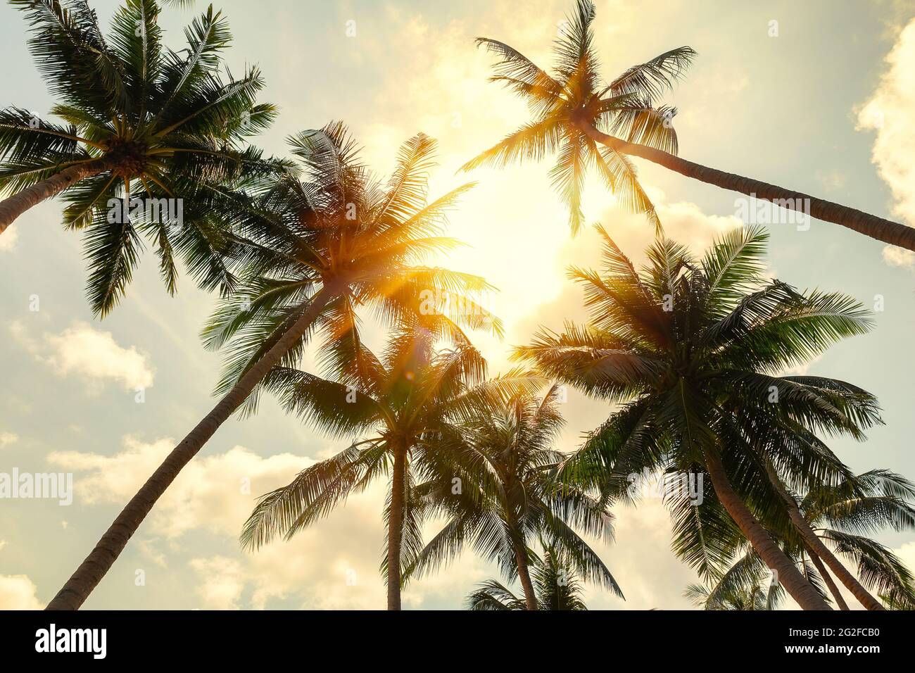 Bella spiaggia tropicale sfondo. Palme da cocco e nuvole su cielo blu in tonalità vintage. Concetto di background per le vacanze estive. Foto Stock