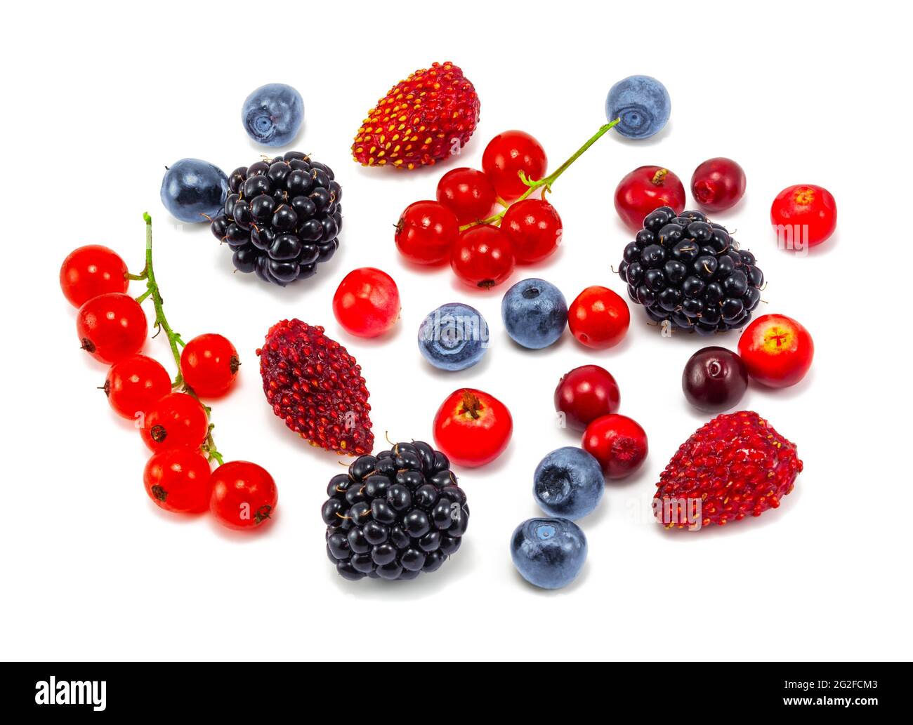 Varie bacche estive fresche. Bacche fresche isolato su sfondo bianco, vista dall'alto. Fragola, mirtillo, lampone, mora e corrente o Foto Stock