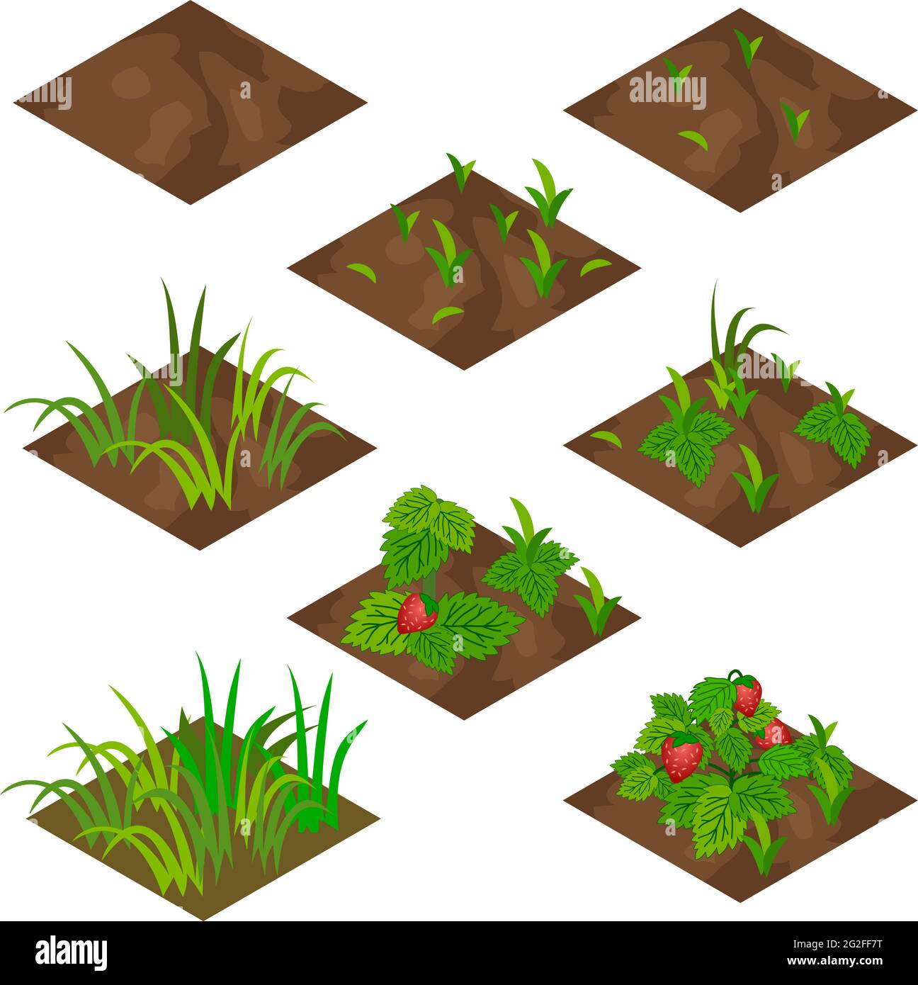 Set di piastrelle isometriche da giardino o da fattoria. Piastrelle isolate con erba e frutti di fragola .. Illustrazione vettoriale, può essere utilizzato come risorsa di gioco farm da creare Illustrazione Vettoriale