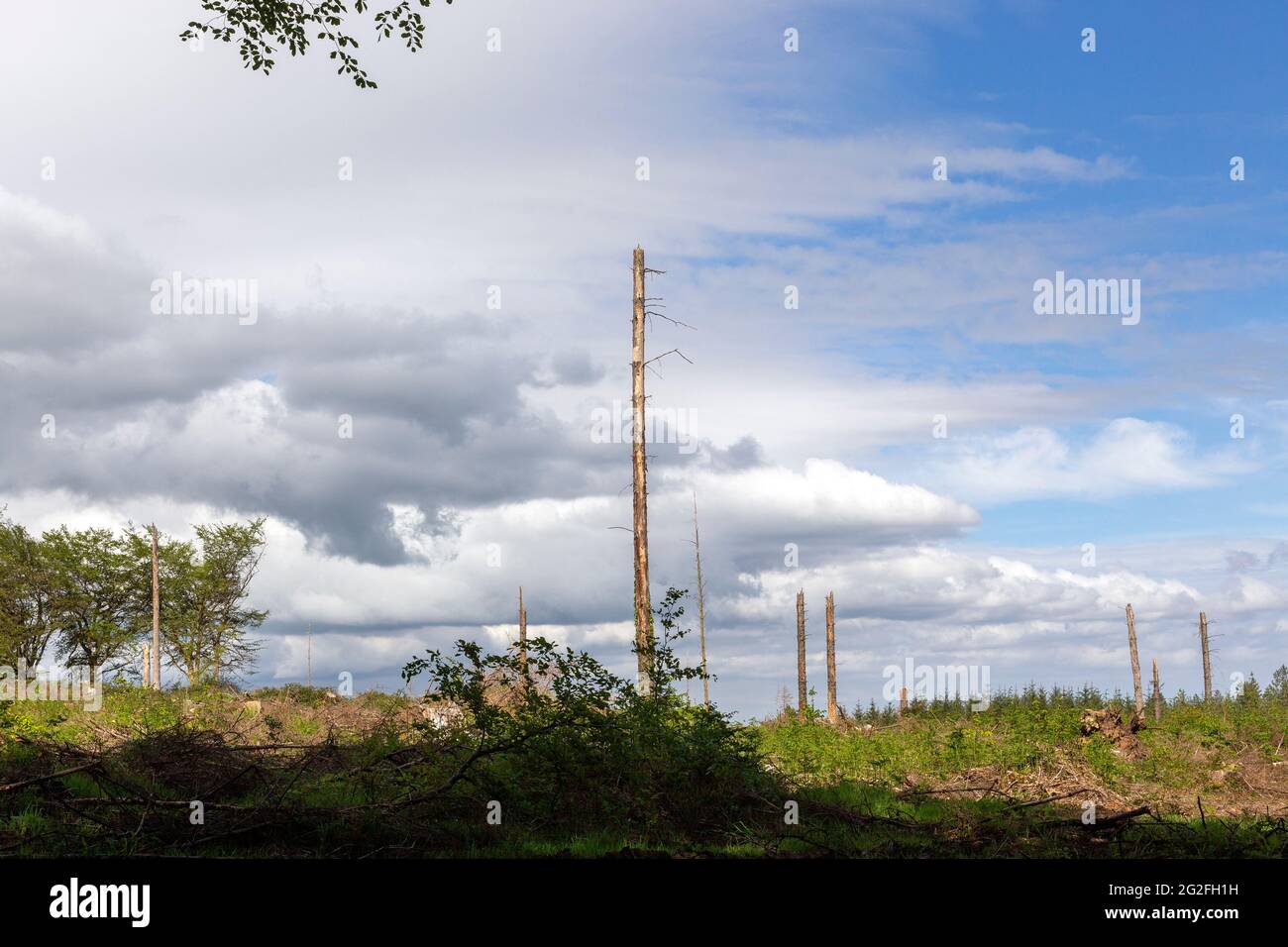 Il riscaldamento globale è il riscaldamento a lungo termine del sistema climatico terrestre osservato dopo il periodo preindustriale che combatte il cambiamento climatico; Foto Stock