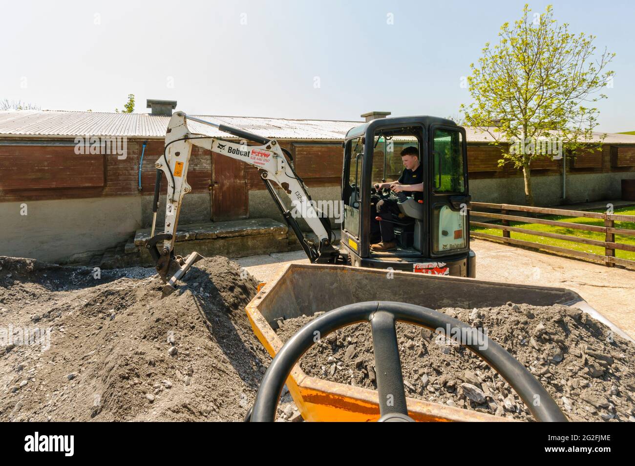 L'escavatore mini-scavatore Bobcat E25 carica le pietre di inerti in accecamento frantumate in un camion di scarico giallo in un cantiere in un'azienda agricola. Foto Stock