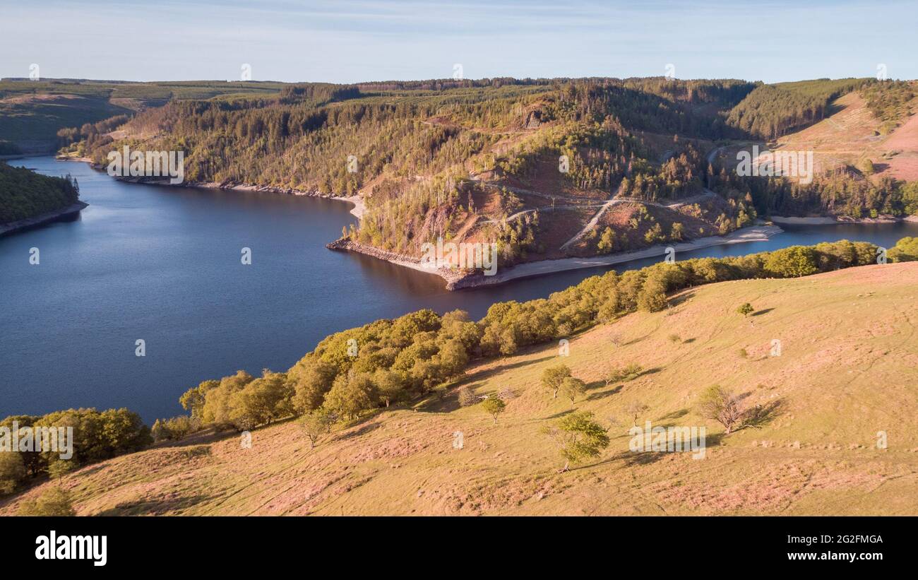 Vista aerea delle piantagioni forestali non autoctone intorno al lago artificiale di Llyn Brianne, Powys, Galles, Regno Unito Foto Stock
