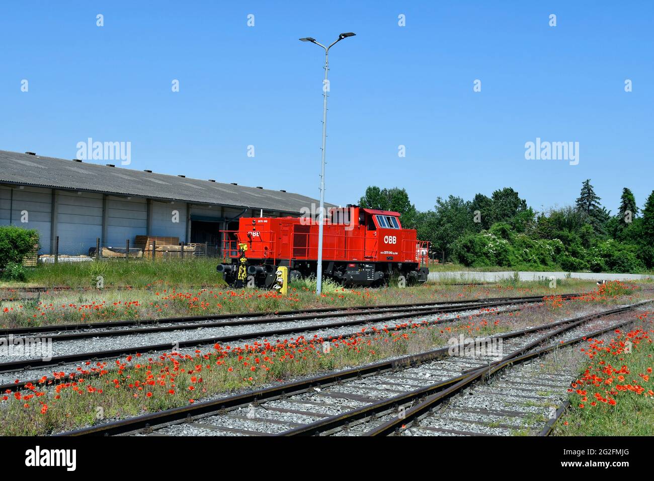 Mannersdorf, Austria - 09 giugno 2021: Locomotiva per shunting diesel-idraulica delle Ferrovie federali austriache e papaveri selvatici tra le rotaie Foto Stock