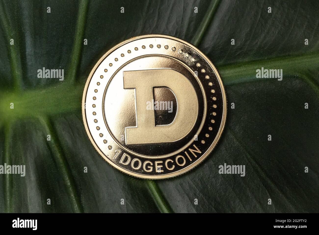 Moneta del meme di Dogecoin. Primo piano sulla criptovaluta. Foto Stock