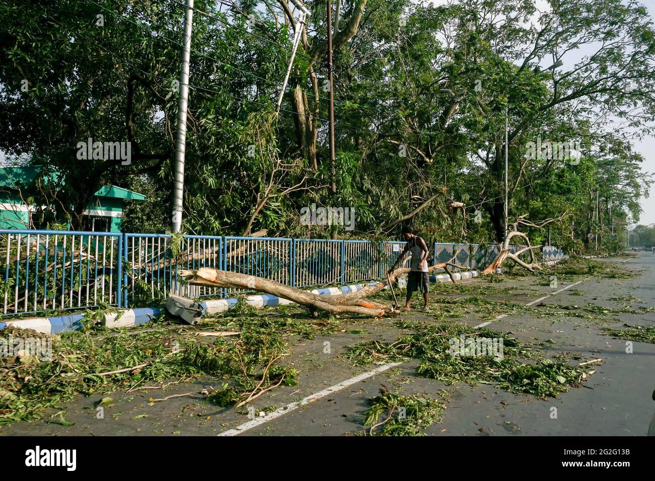 Kolkata, Bengala Occidentale, India - 23 Maggio 2020 : Super ciclone Amphan albero sradicato che cadde e bloccava il marciapiede. Una persona sta pulendo e sgombrando Foto Stock