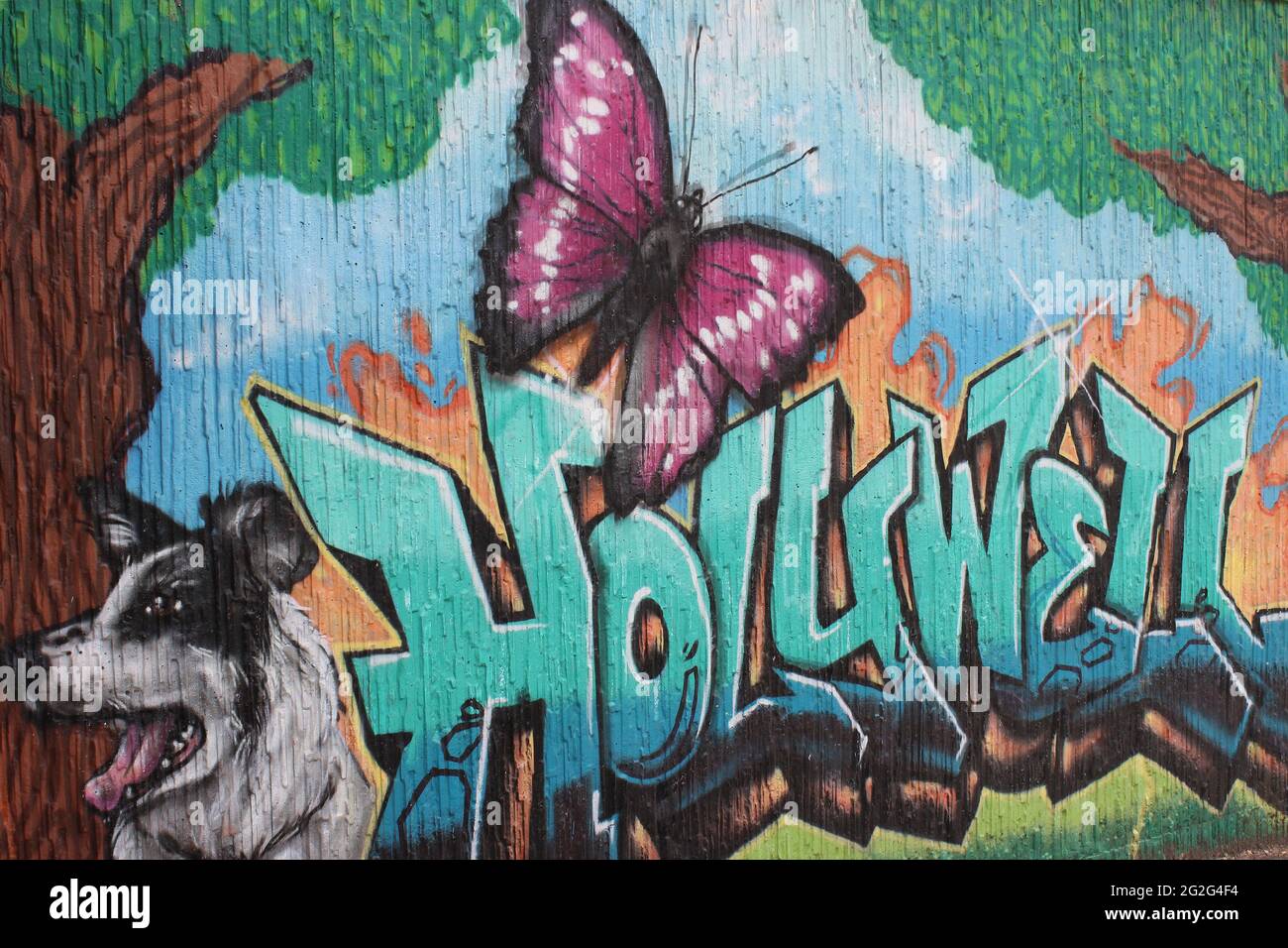 Graffiti Holywell Foto Stock