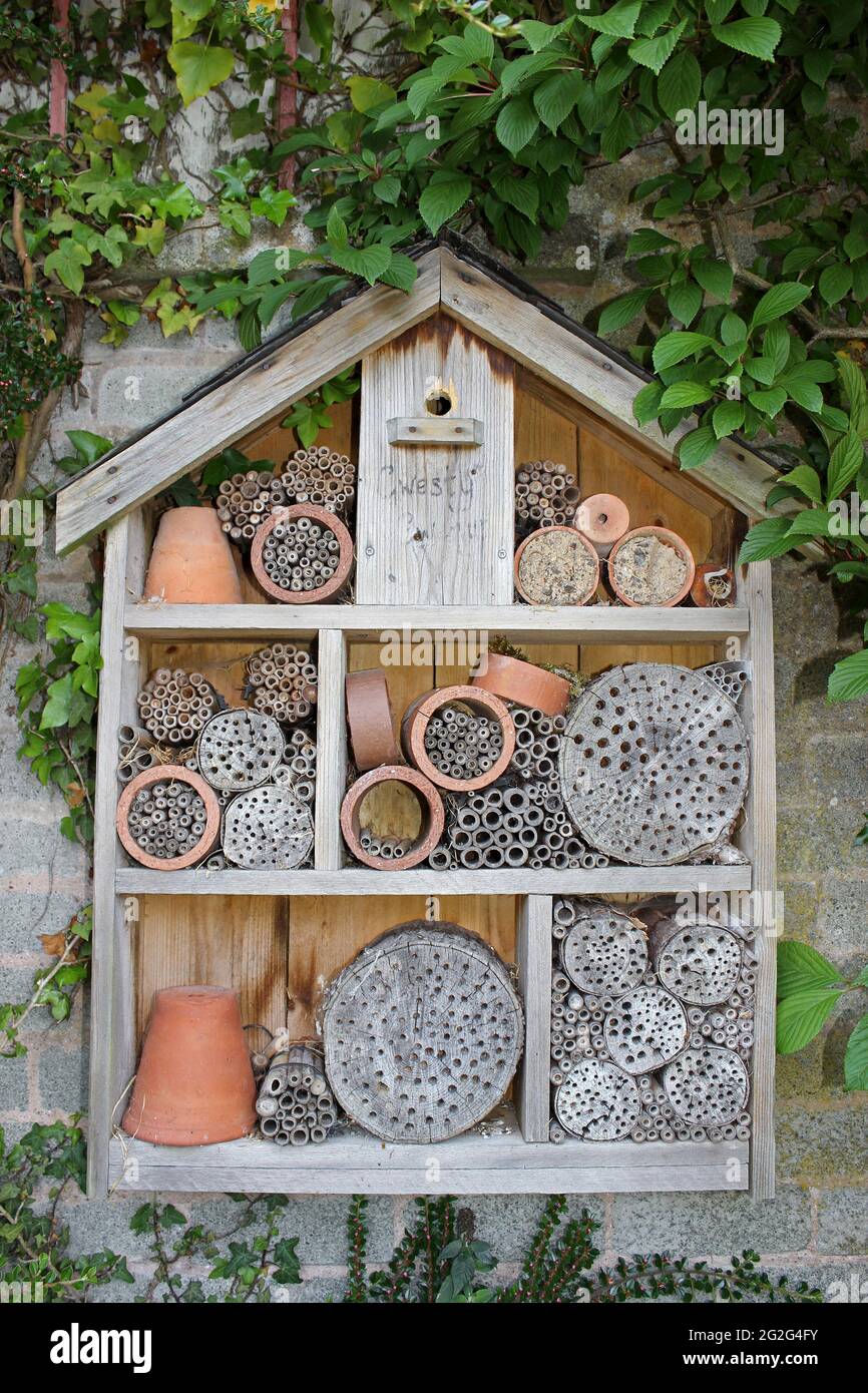 Insect Hotel che fornisce buchi di nesting per una varietà di Minibeast Foto Stock