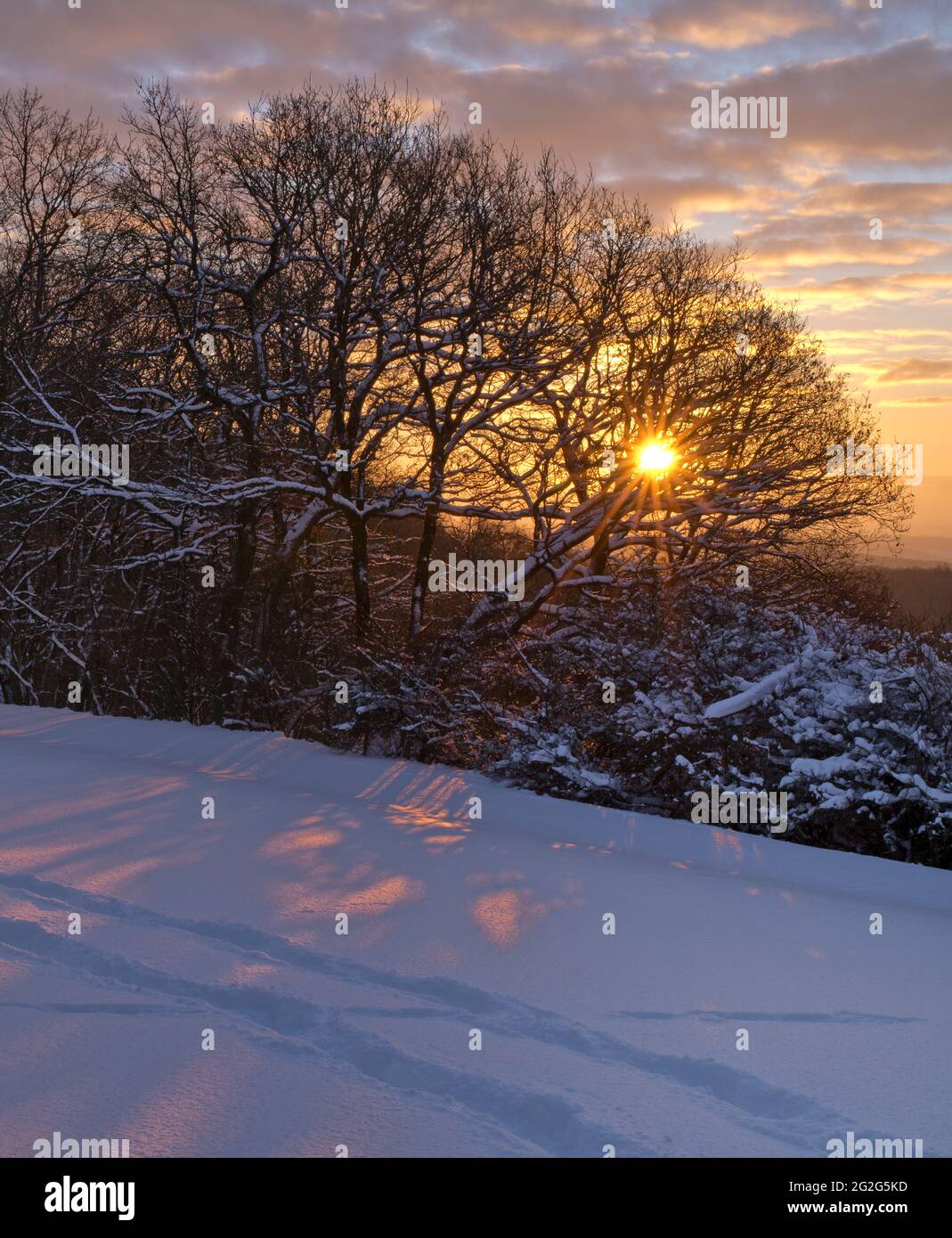 Europa, Germania, Assia, entroterra, parco naturale di Lahn-Dill-Bergland, Gladenbach, mattina d'inverno nella Salzbödetal alta Foto Stock