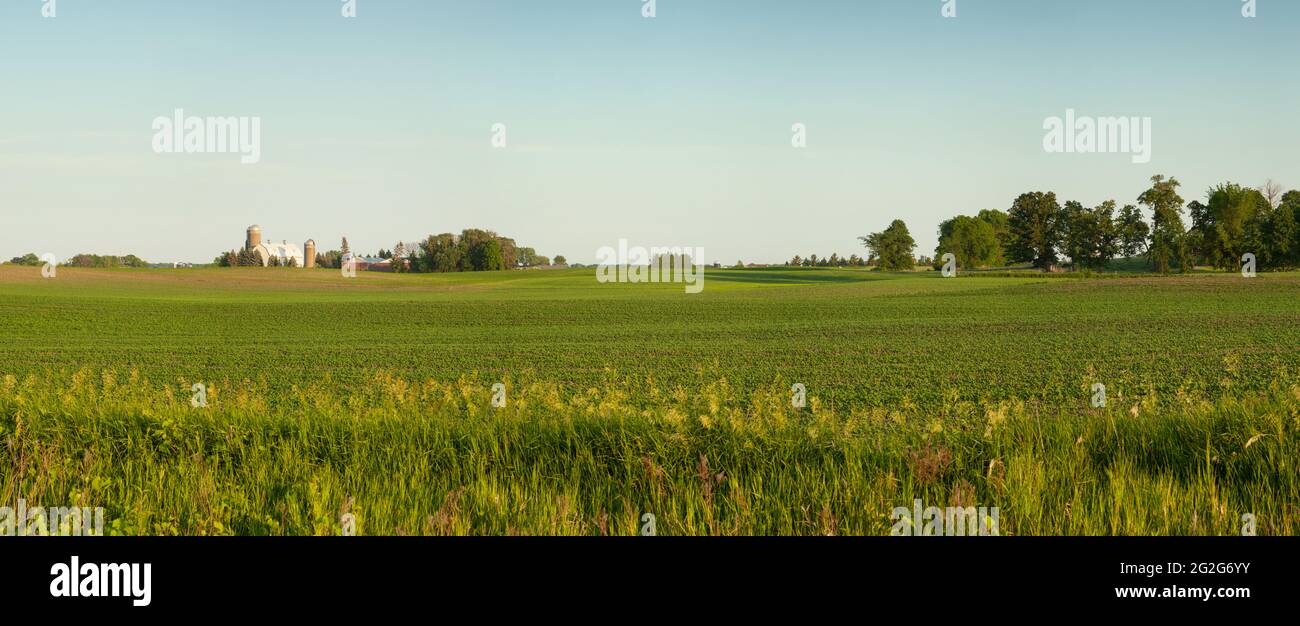 Panorama di una fattoria e campi in una soleggiata serata primaverile nel Midwest degli Stati Uniti Foto Stock