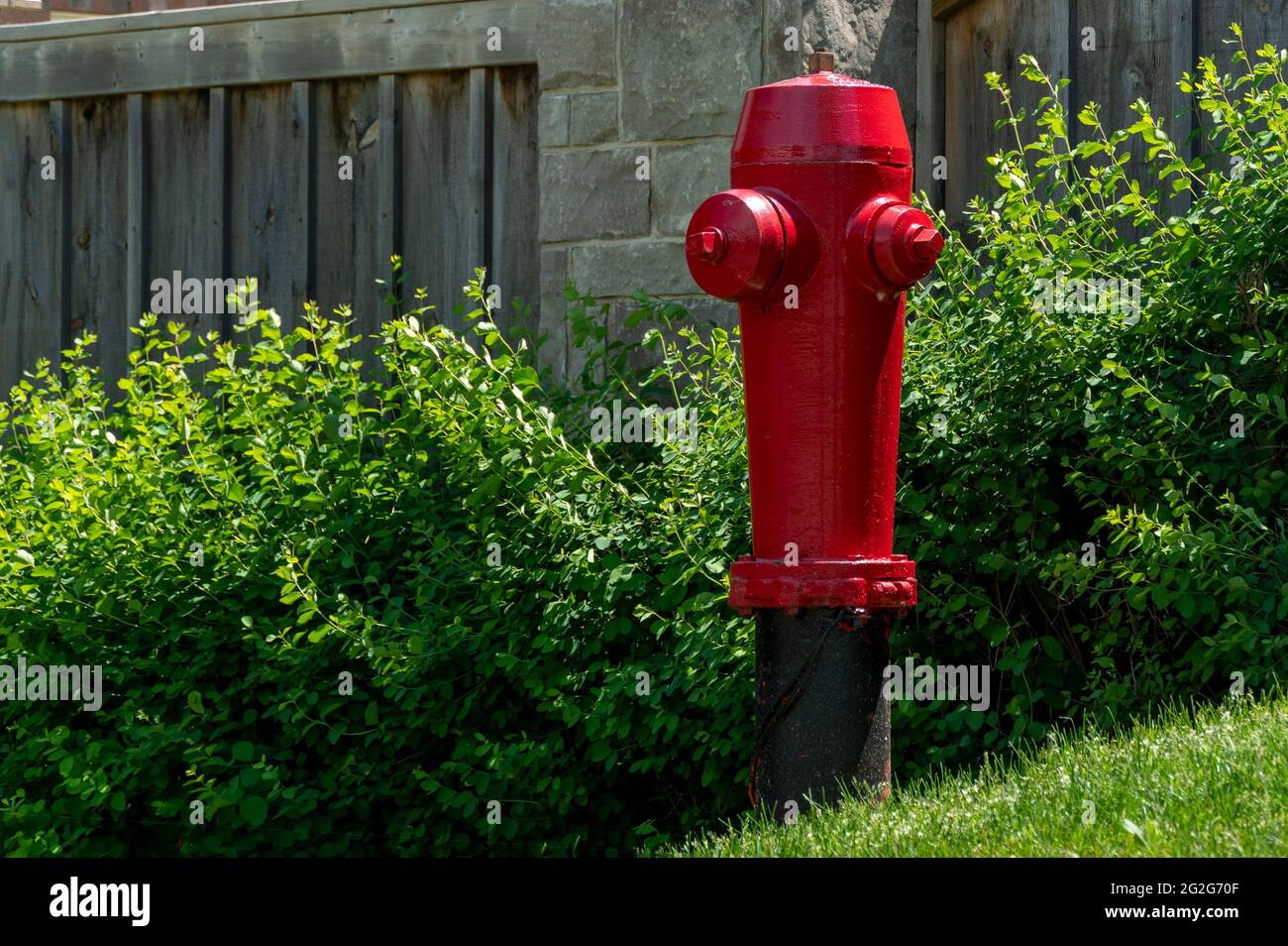 Idrante rosso fuoco si erge sulla strada scintillante con vernice fresca Foto Stock